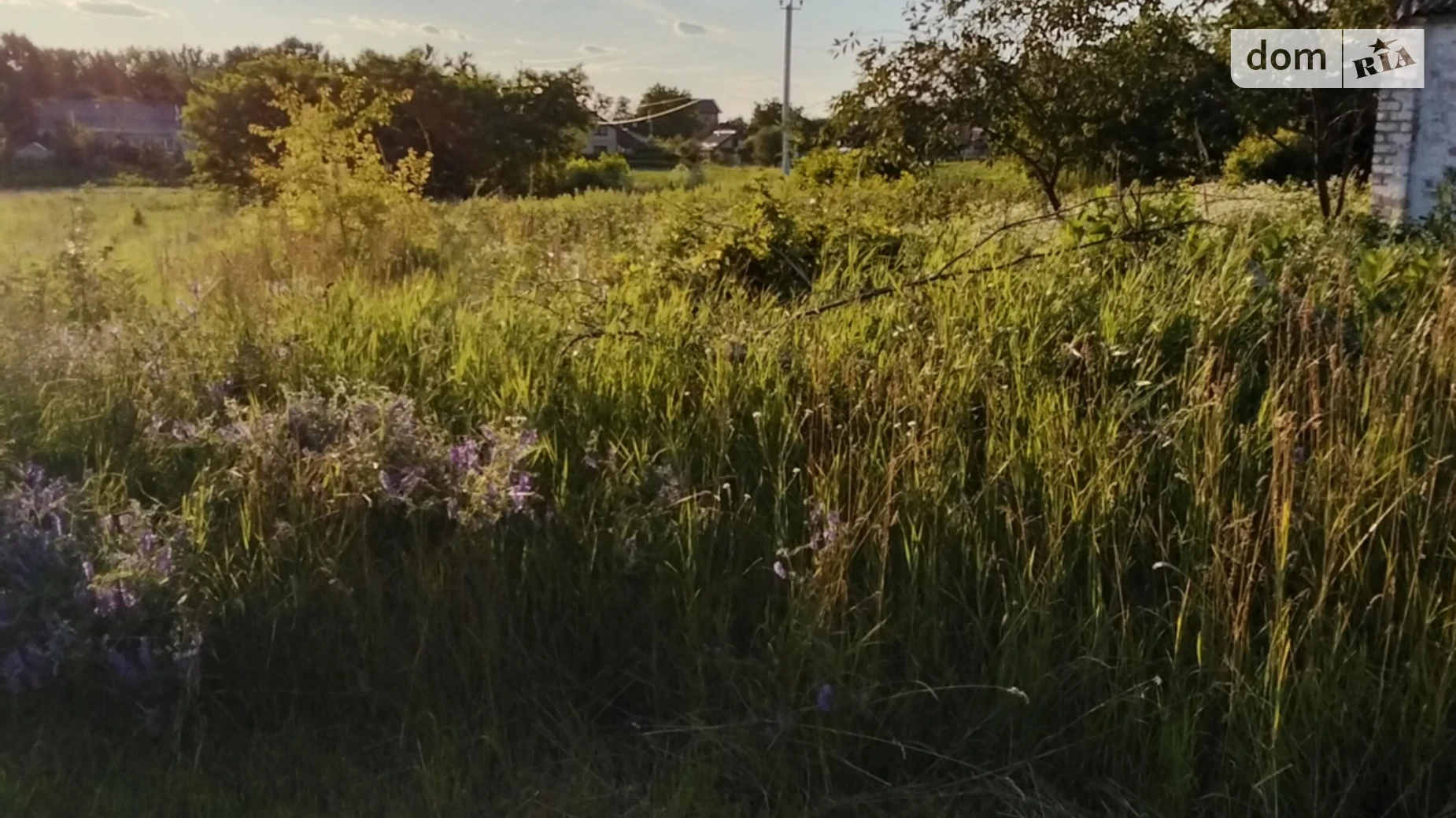 Продається одноповерховий будинок 50 кв. м з подвалом, цена: 16000 $ - фото 2