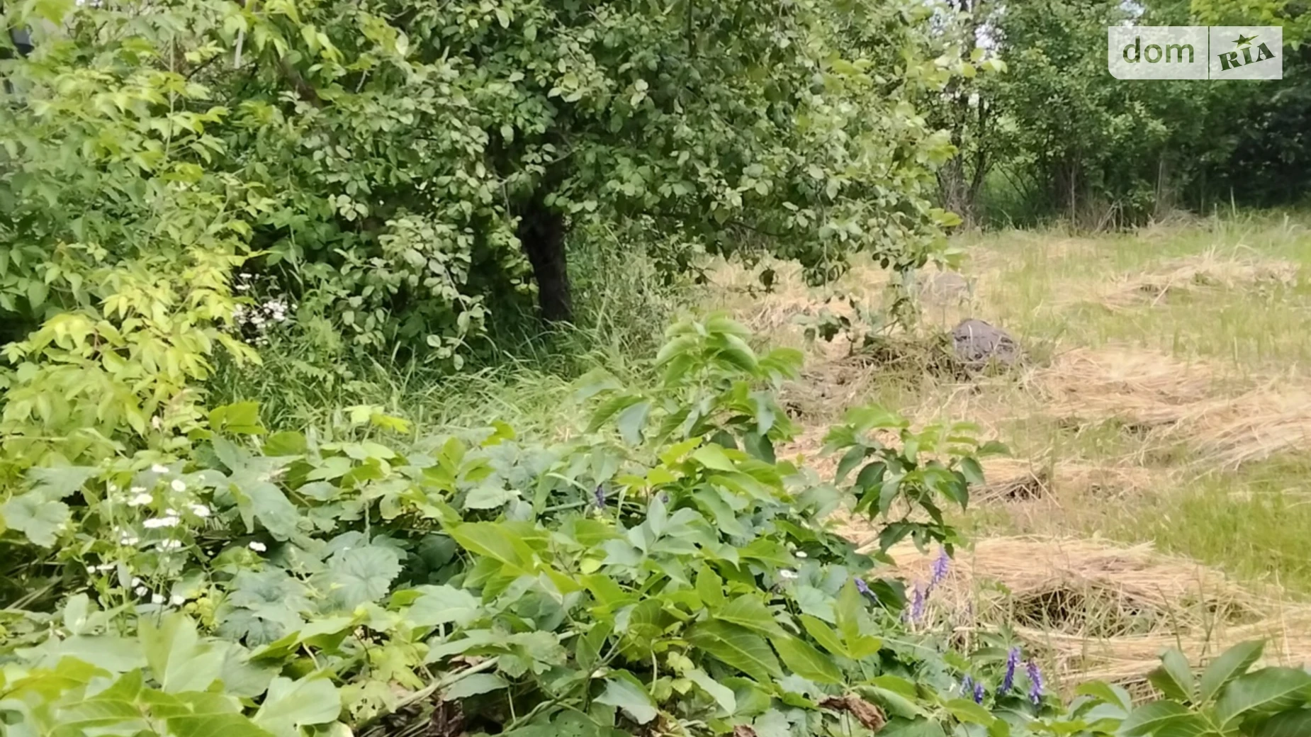 Продається одноповерховий будинок 50 кв. м з подвалом, цена: 16000 $ - фото 5