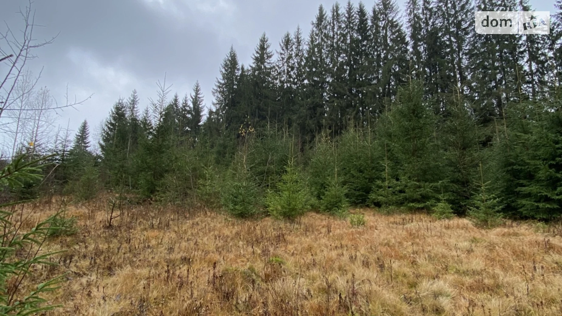 Продается земельный участок 105.7 соток в Ивано-Франковской области, цена: 230000 $ - фото 3