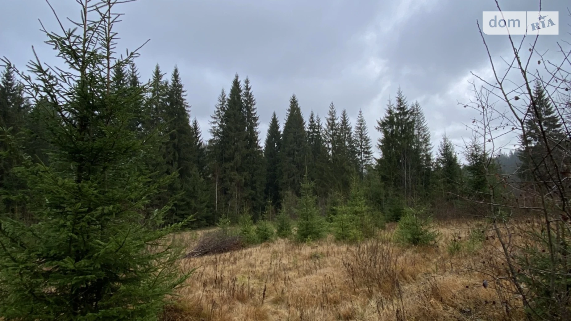 Продается земельный участок 105.7 соток в Ивано-Франковской области, цена: 230000 $ - фото 4