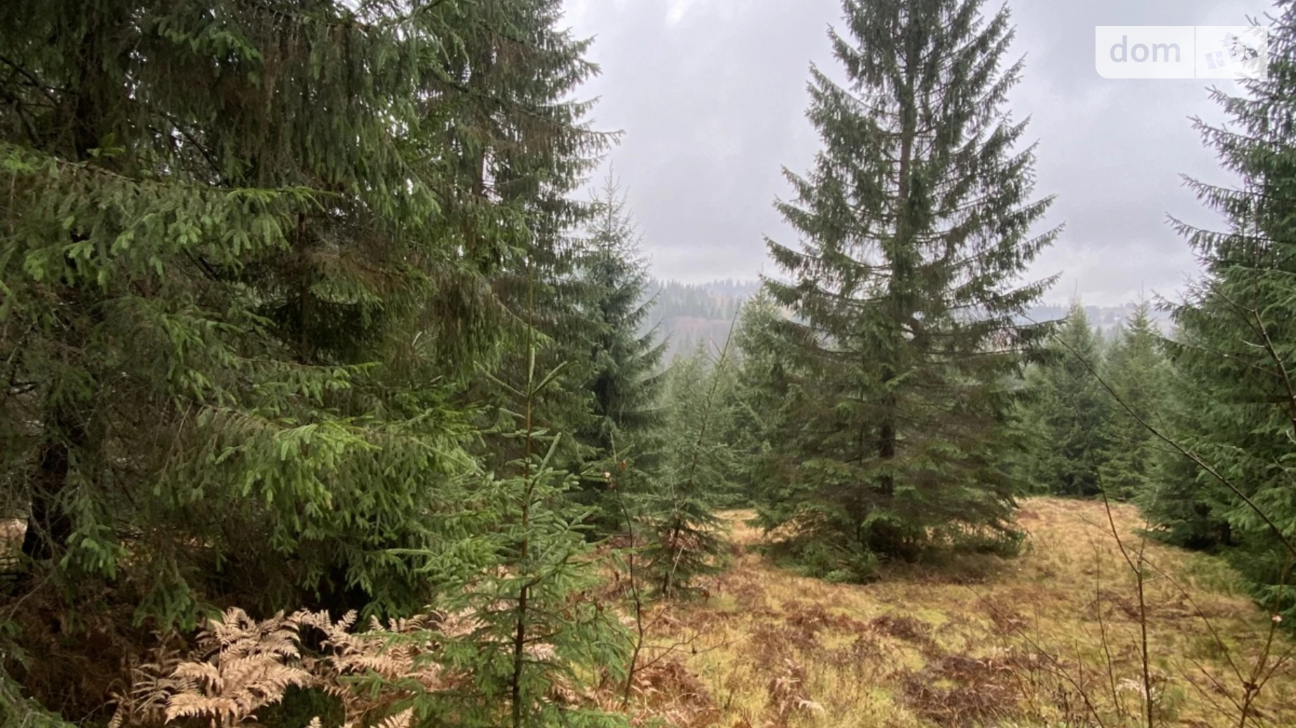 Продается земельный участок 105.7 соток в Ивано-Франковской области, цена: 230000 $ - фото 5