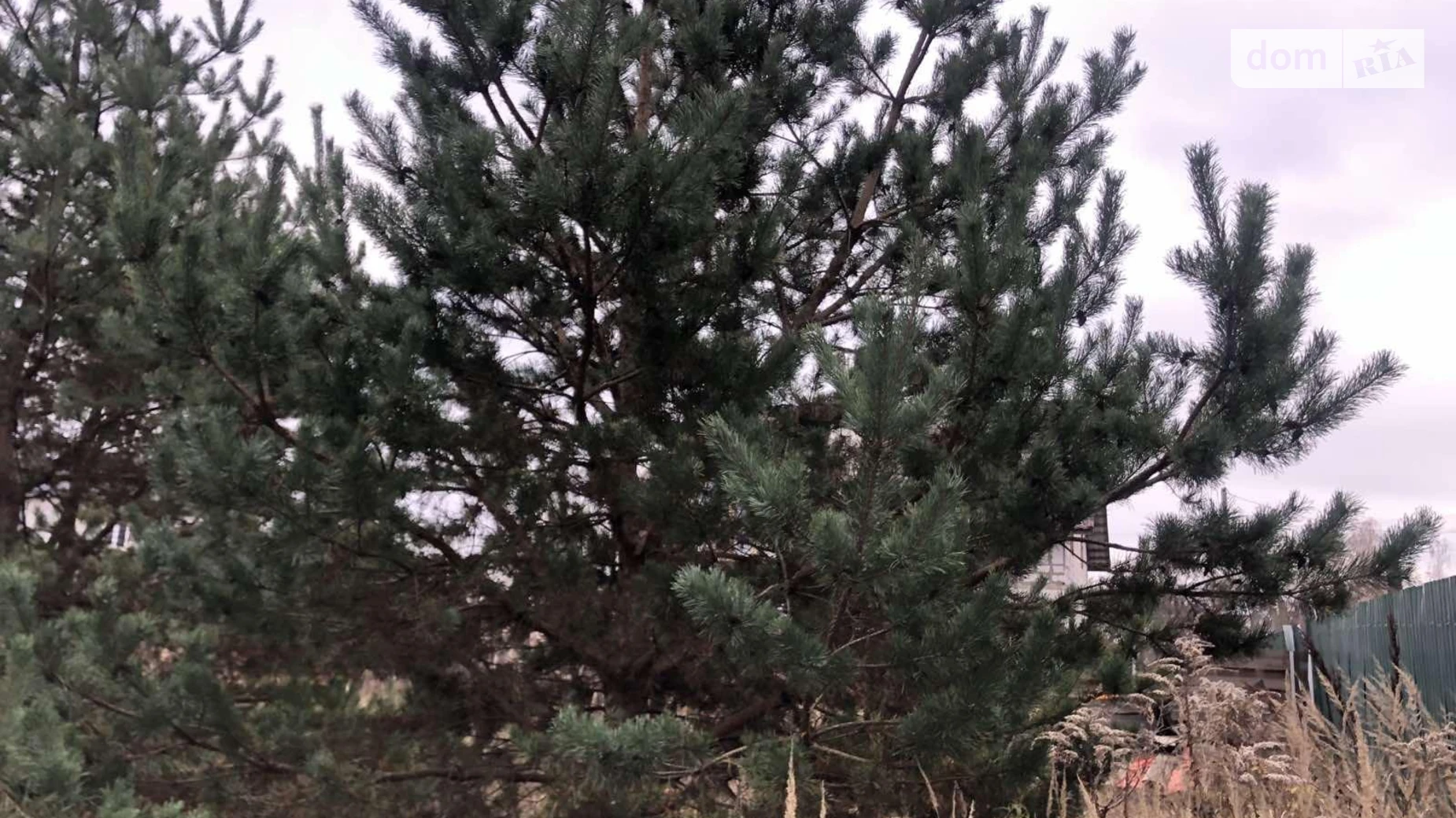 Продається земельна ділянка 10 соток у Київській області, цена: 53000 $ - фото 2