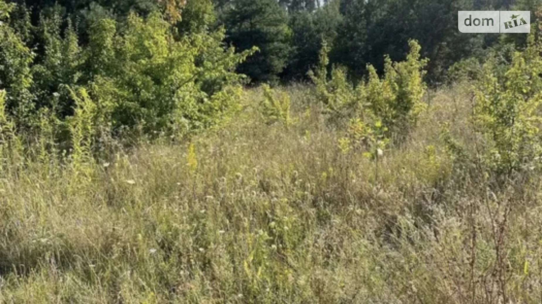 Продається земельна ділянка 21 соток у Київській області, цена: 26000 $ - фото 2