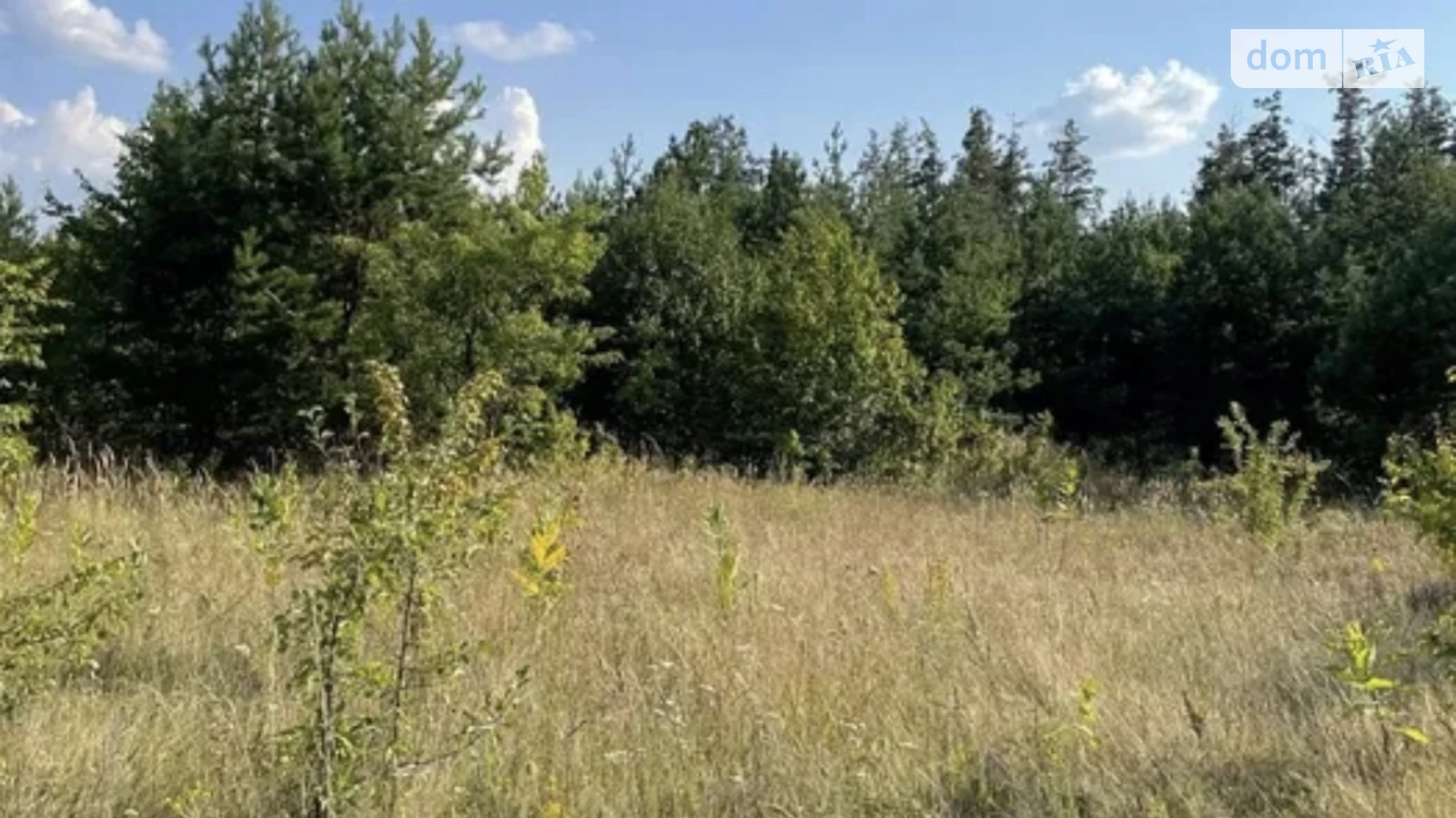 Продається земельна ділянка 21 соток у Київській області, цена: 26000 $ - фото 4