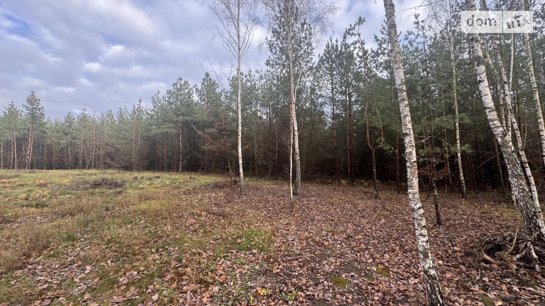 Продается земельный участок 12 соток в Винницкой области, цена: 27000 $ - фото 3