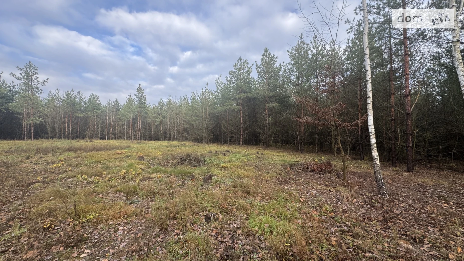 Продается земельный участок 12 соток в Винницкой области, цена: 27000 $ - фото 5