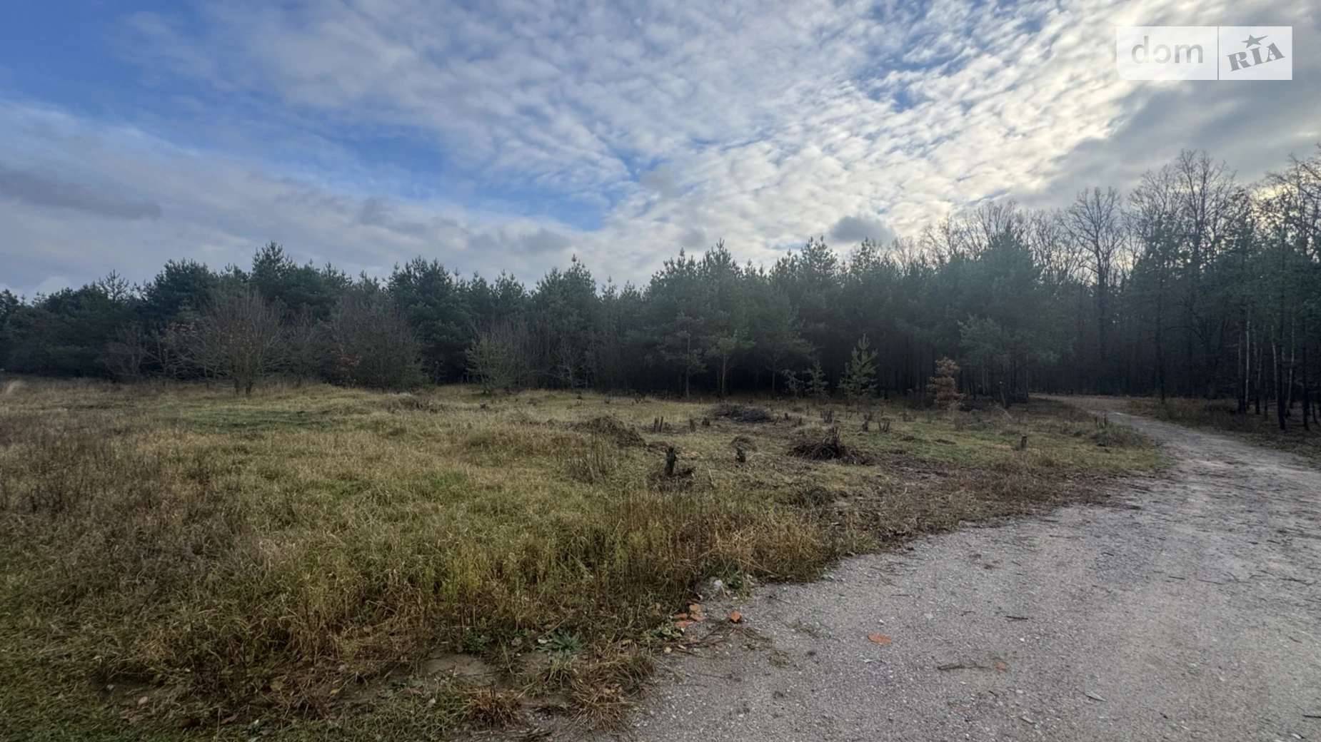 Славное, цена: 25000 $ - фото 4