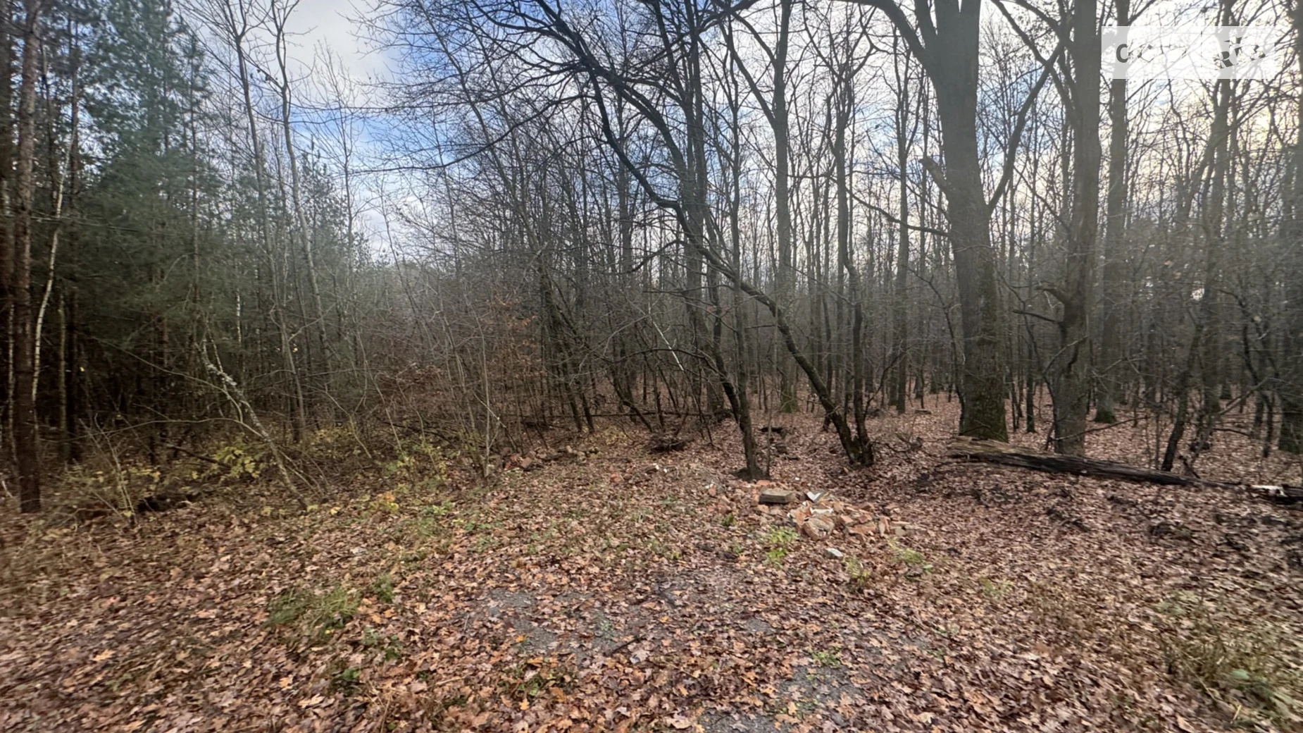 Славное, цена: 25000 $ - фото 2