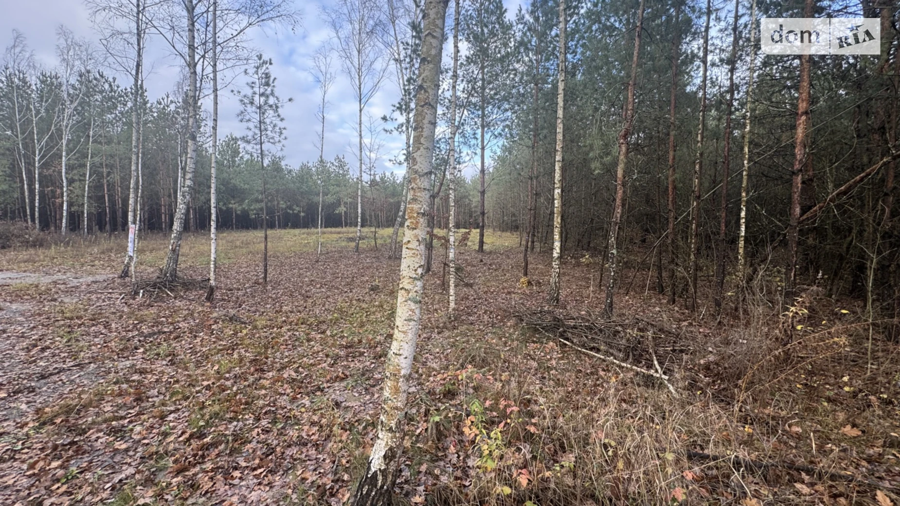 Славное, цена: 25000 $ - фото 3