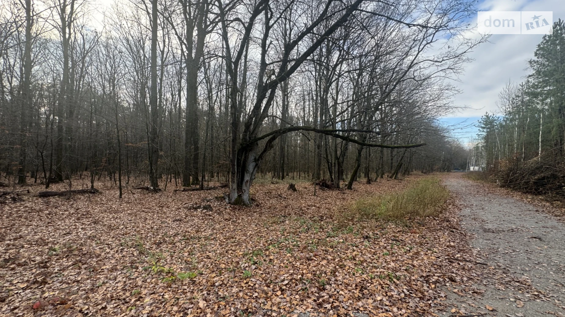 Славное, цена: 26000 $ - фото 2