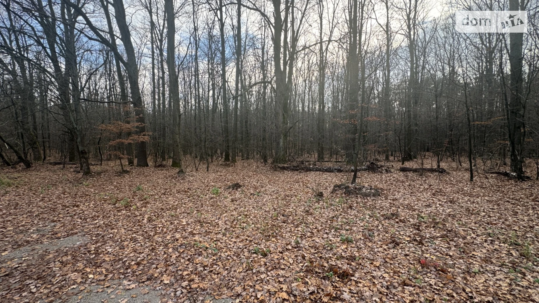 Славное, цена: 26000 $ - фото 3