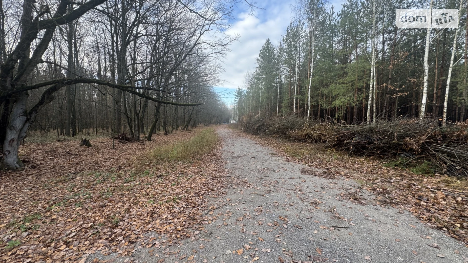 Славное, цена: 26000 $ - фото 4