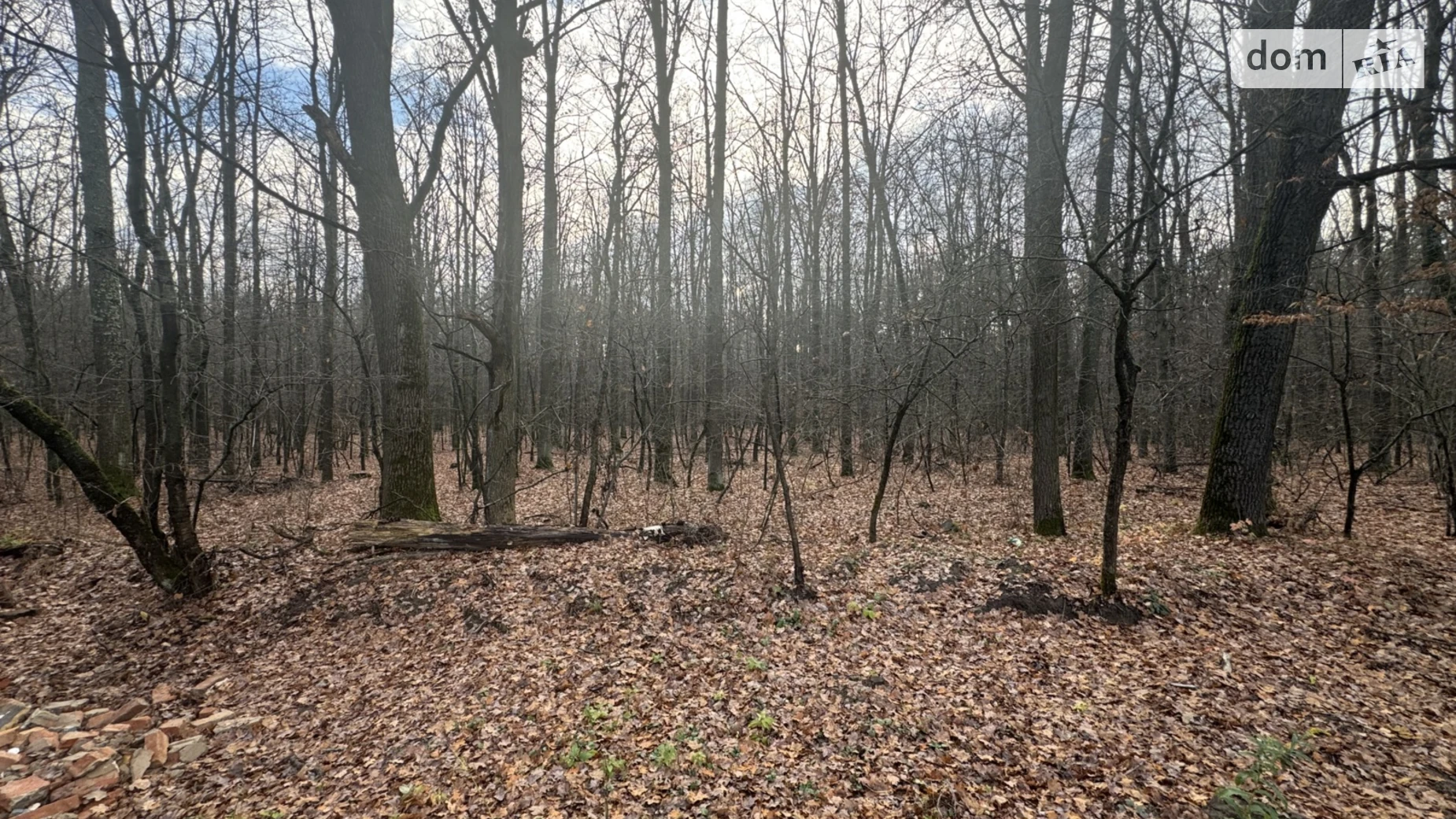 Славное, цена: 26000 $ - фото 3