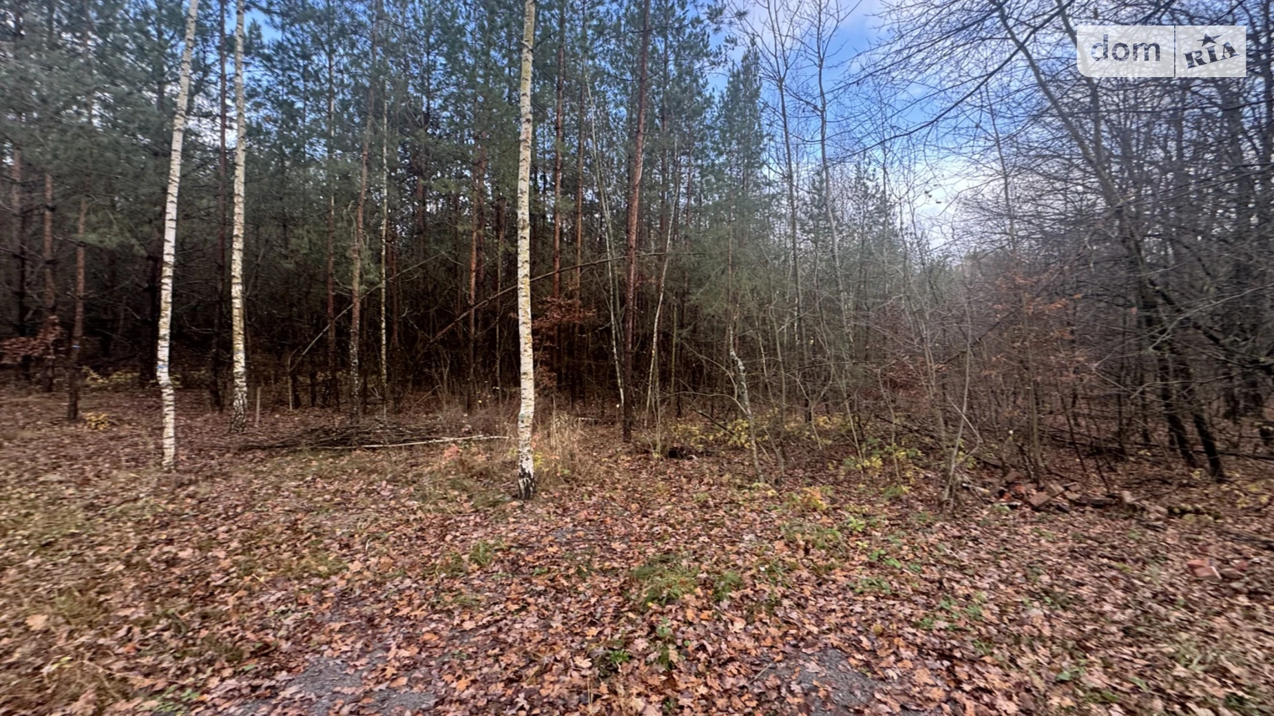 Славное, цена: 26000 $ - фото 5