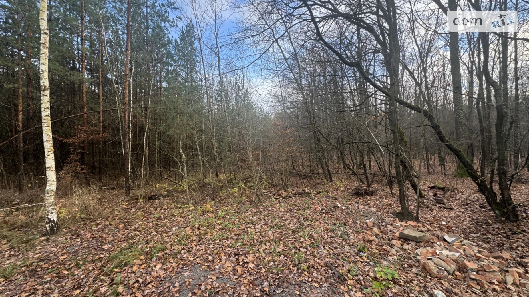 Славное, цена: 26000 $ - фото 4