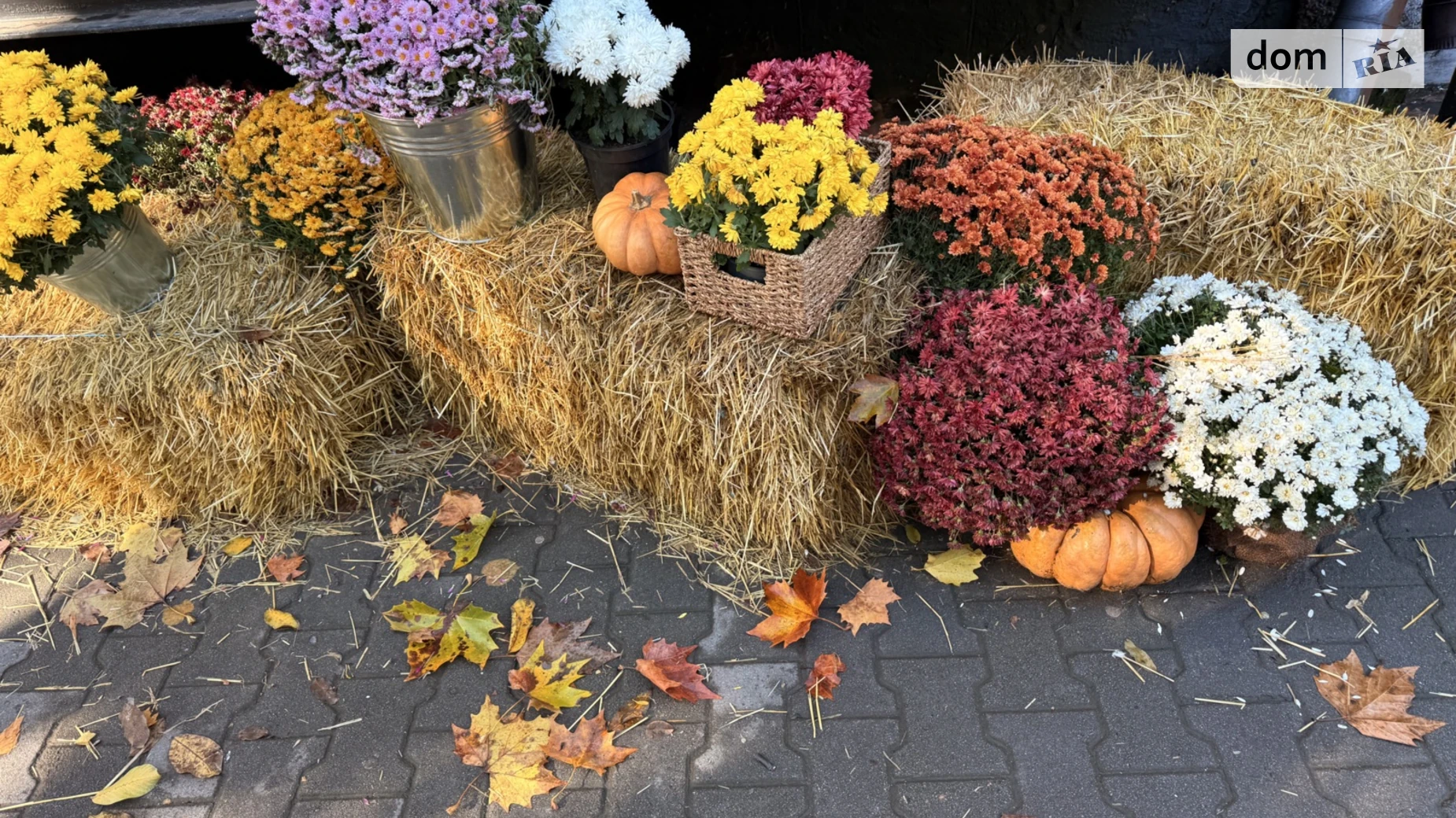 Сдается в аренду 1-комнатная квартира 32.6 кв. м в Днепре, просп. Слобожанский - фото 5