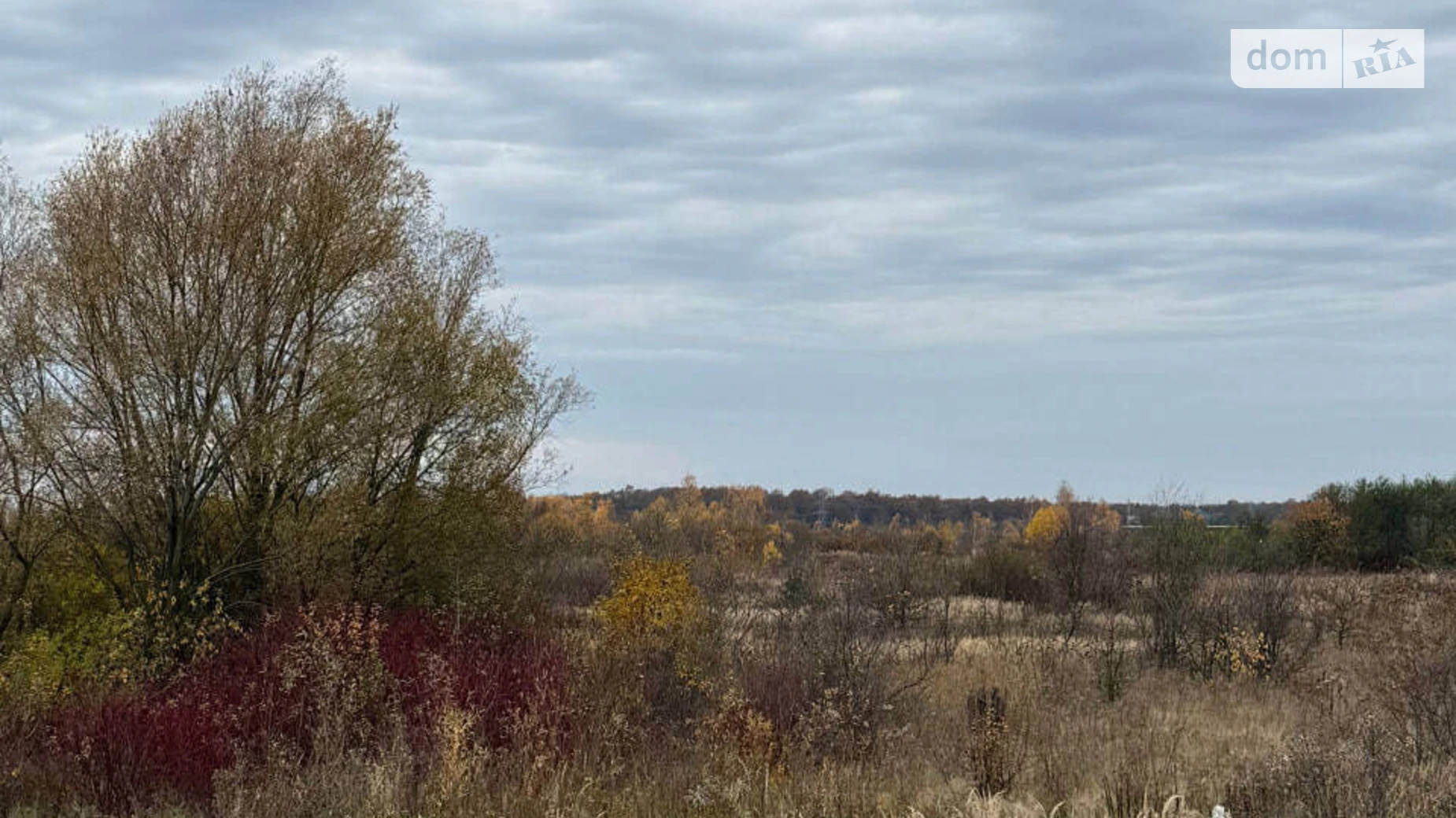 Продается земельный участок 6 соток в Львовской области, цена: 5500 $ - фото 3