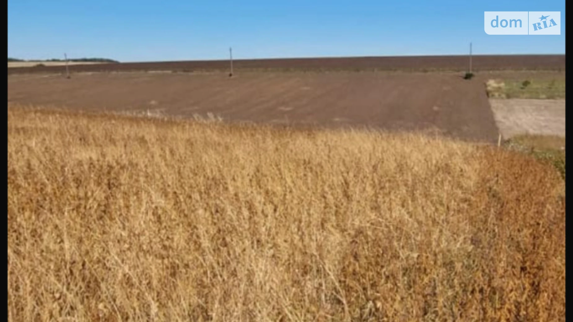 Продается земельный участок 9.75 соток в Тернопольской области, цена: 6000 $ - фото 5