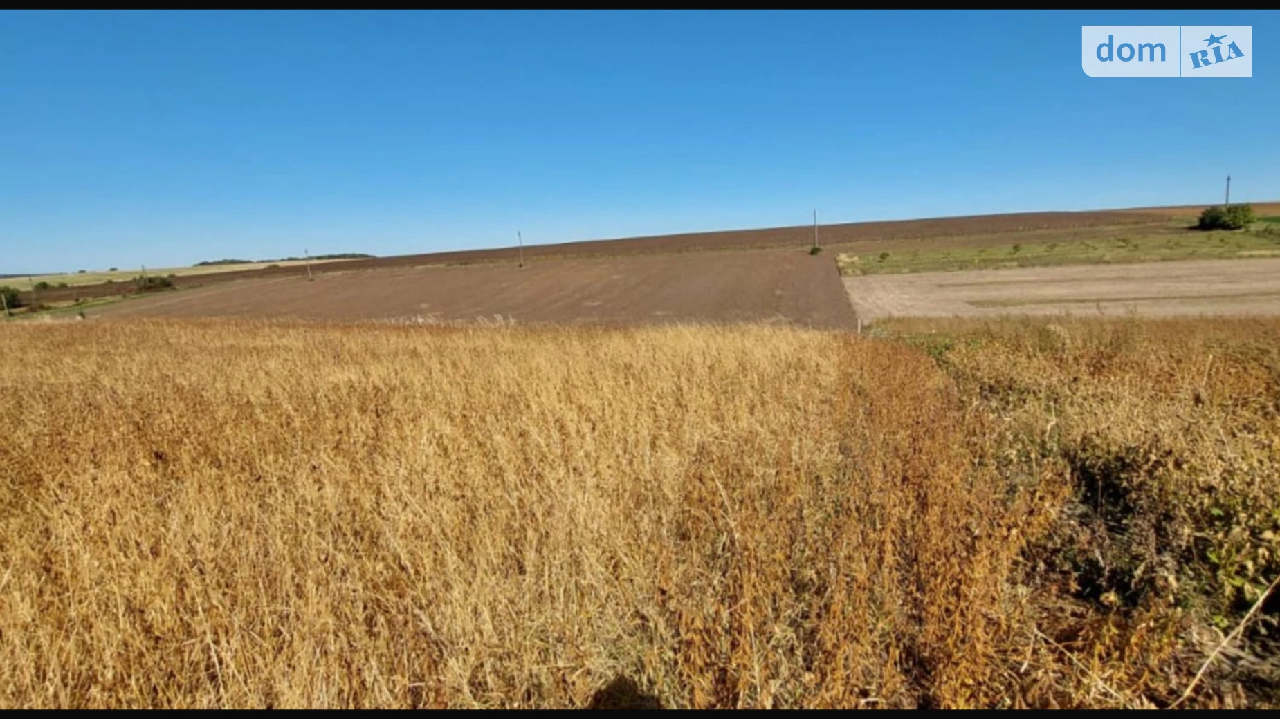 Продается земельный участок 9.75 соток в Тернопольской области, цена: 6000 $ - фото 4