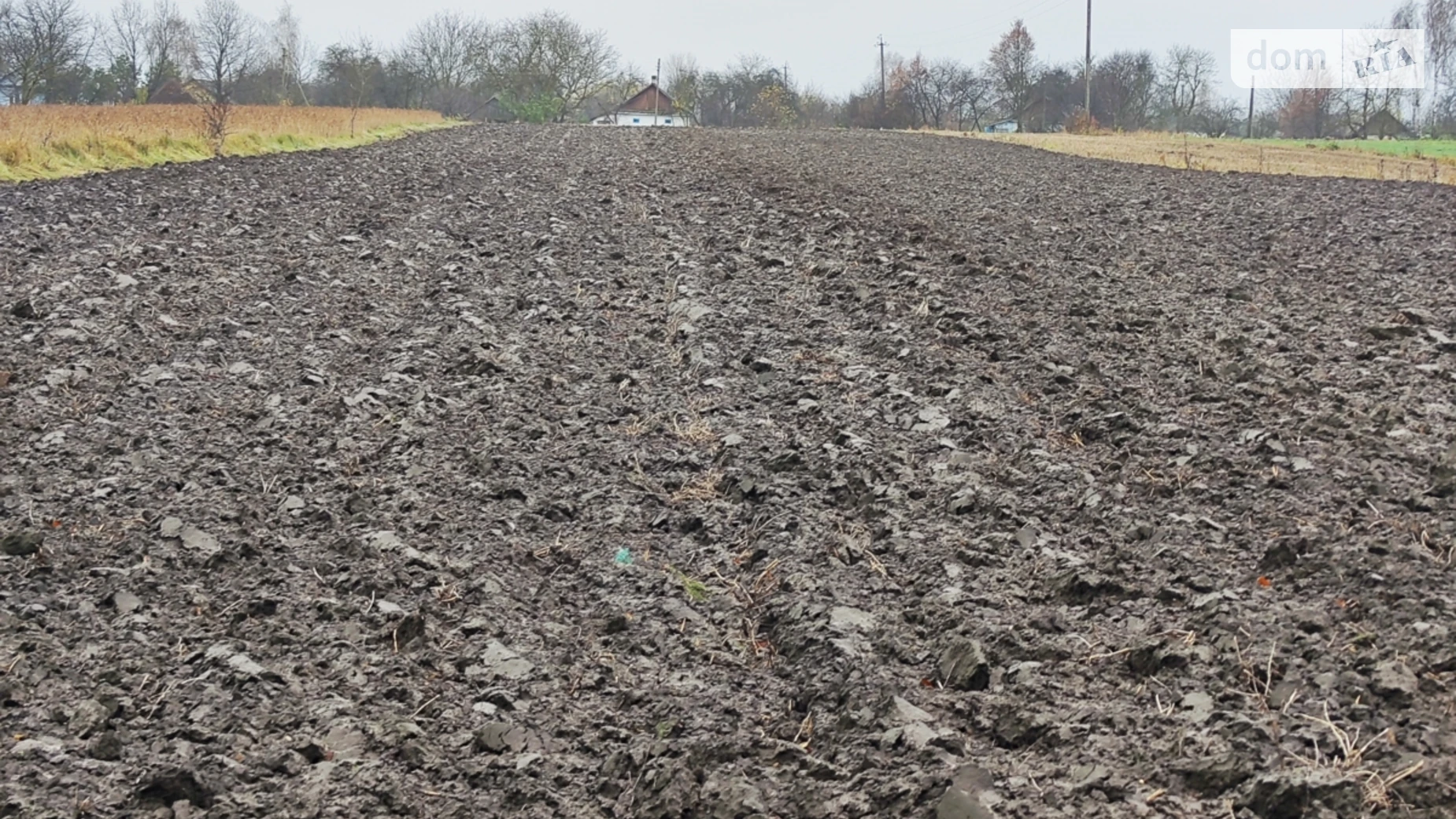 Корысть, цена: 18000 $ - фото 4