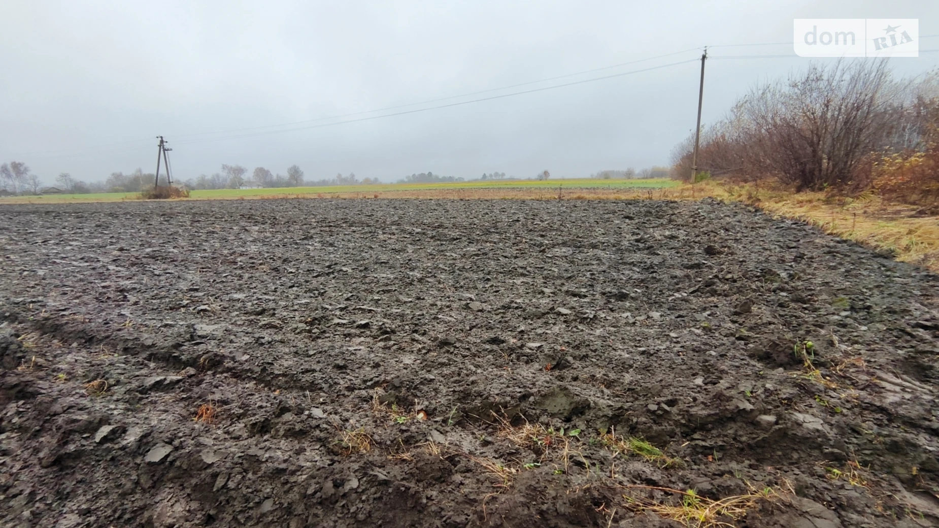 Корысть, цена: 18000 $ - фото 2