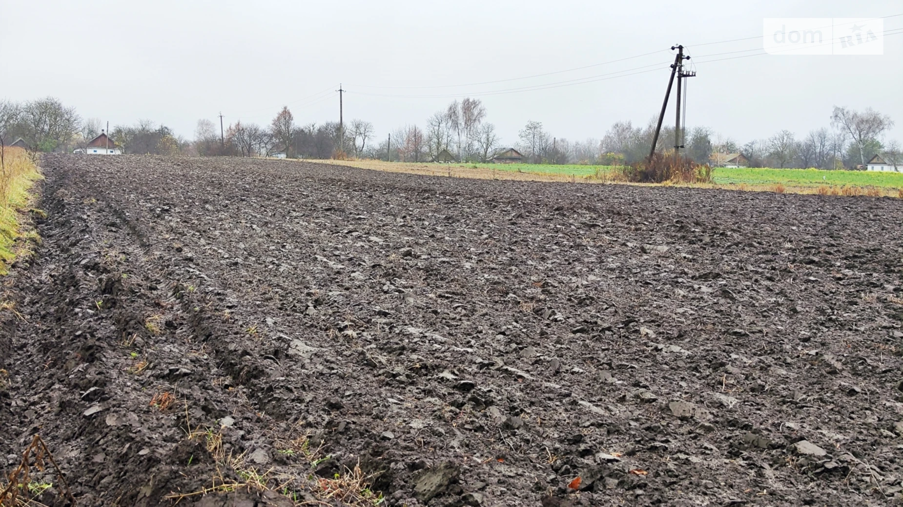 Корысть, цена: 18000 $ - фото 5