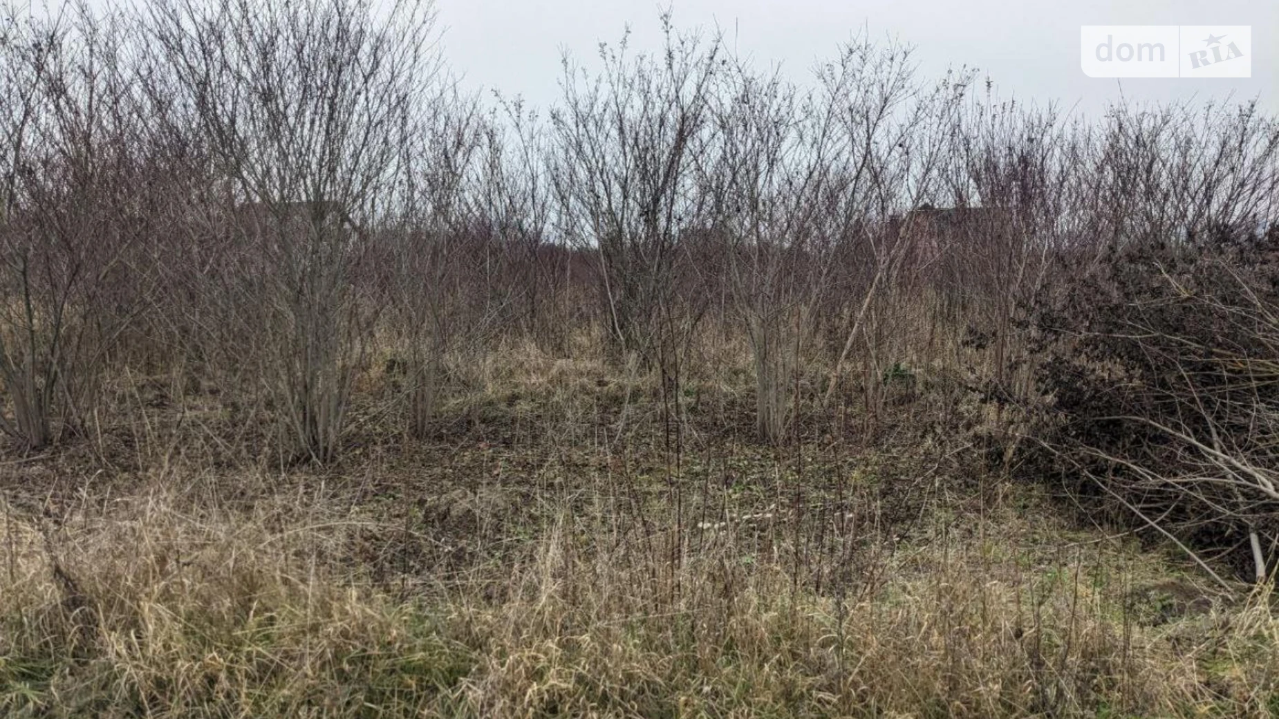 Продается земельный участок 5.95 соток в Ивано-Франковской области, цена: 11500 $ - фото 4