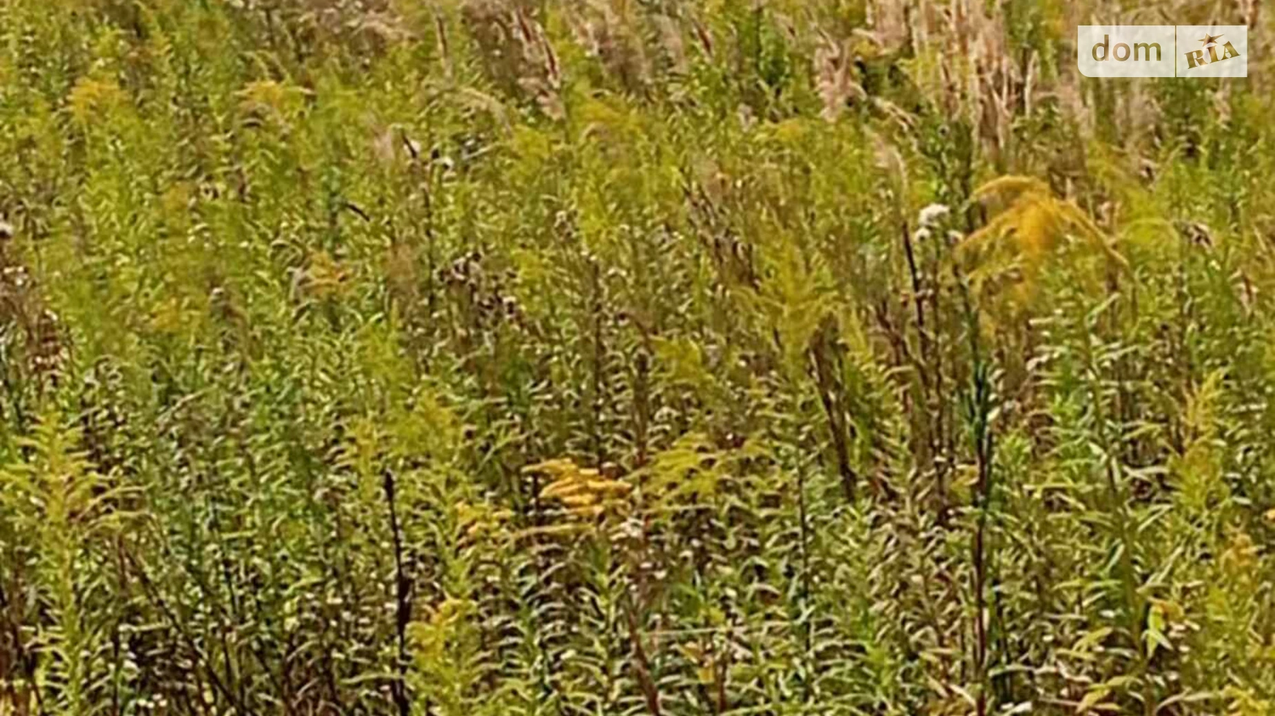Продается земельный участок 14 соток в Киевской области, цена: 42000 € - фото 2
