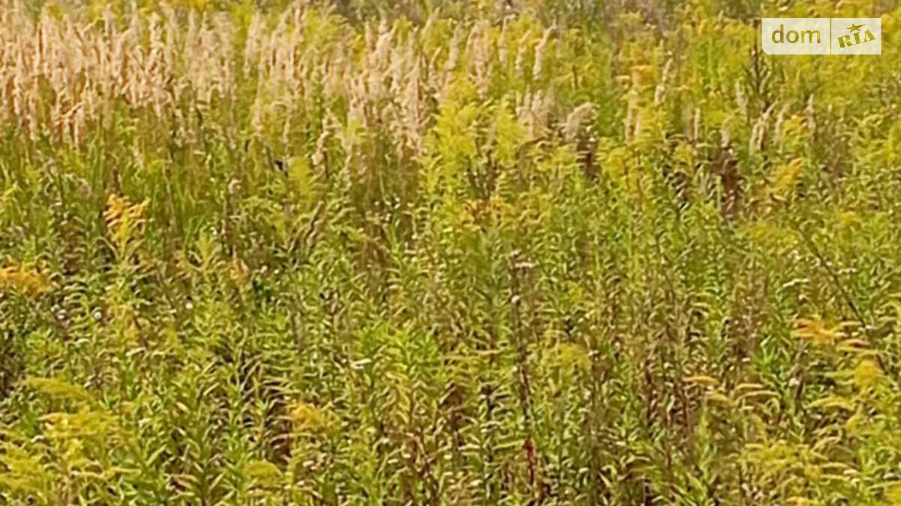 Продается земельный участок 14 соток в Киевской области, цена: 42000 € - фото 3