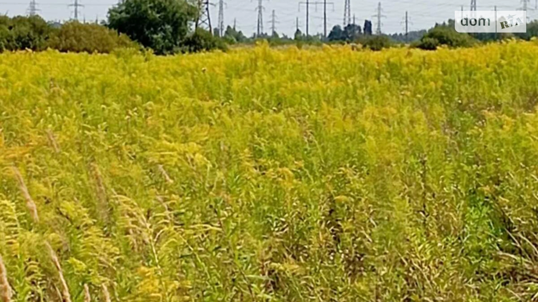 Продается земельный участок 14 соток в Киевской области, цена: 42000 € - фото 5