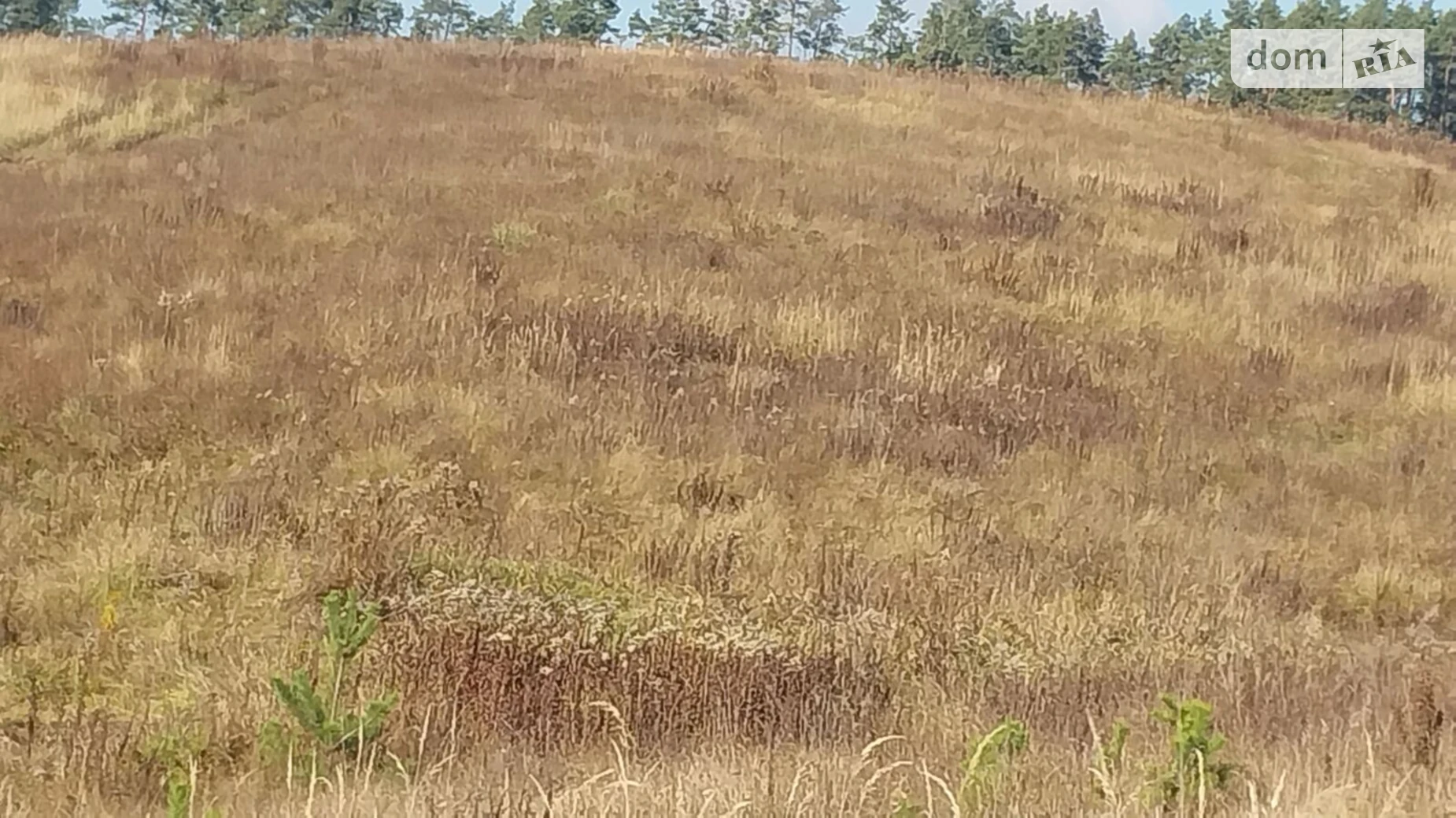 Здається в оренду земельна ділянка 14.1727 соток у Хмельницькій області, цена: 50644 грн - фото 3