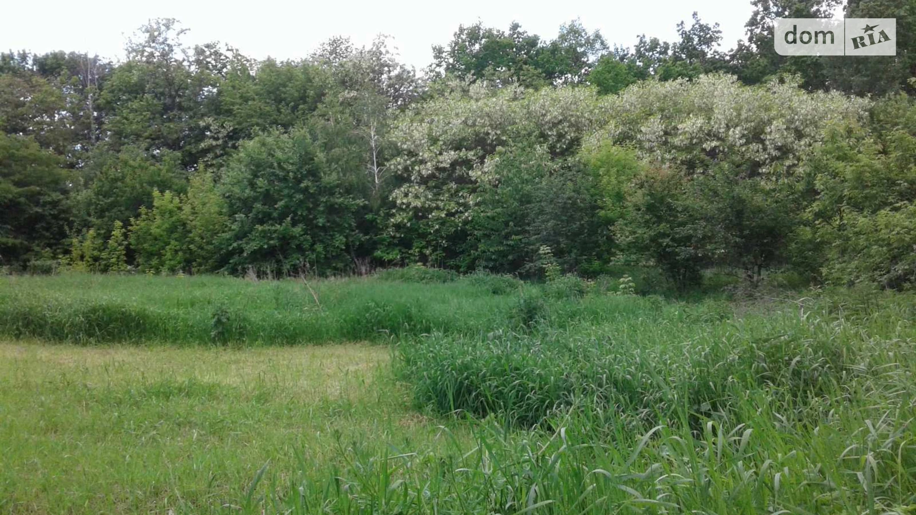 ул. Лесная Макеевка, цена: 50000 € - фото 5