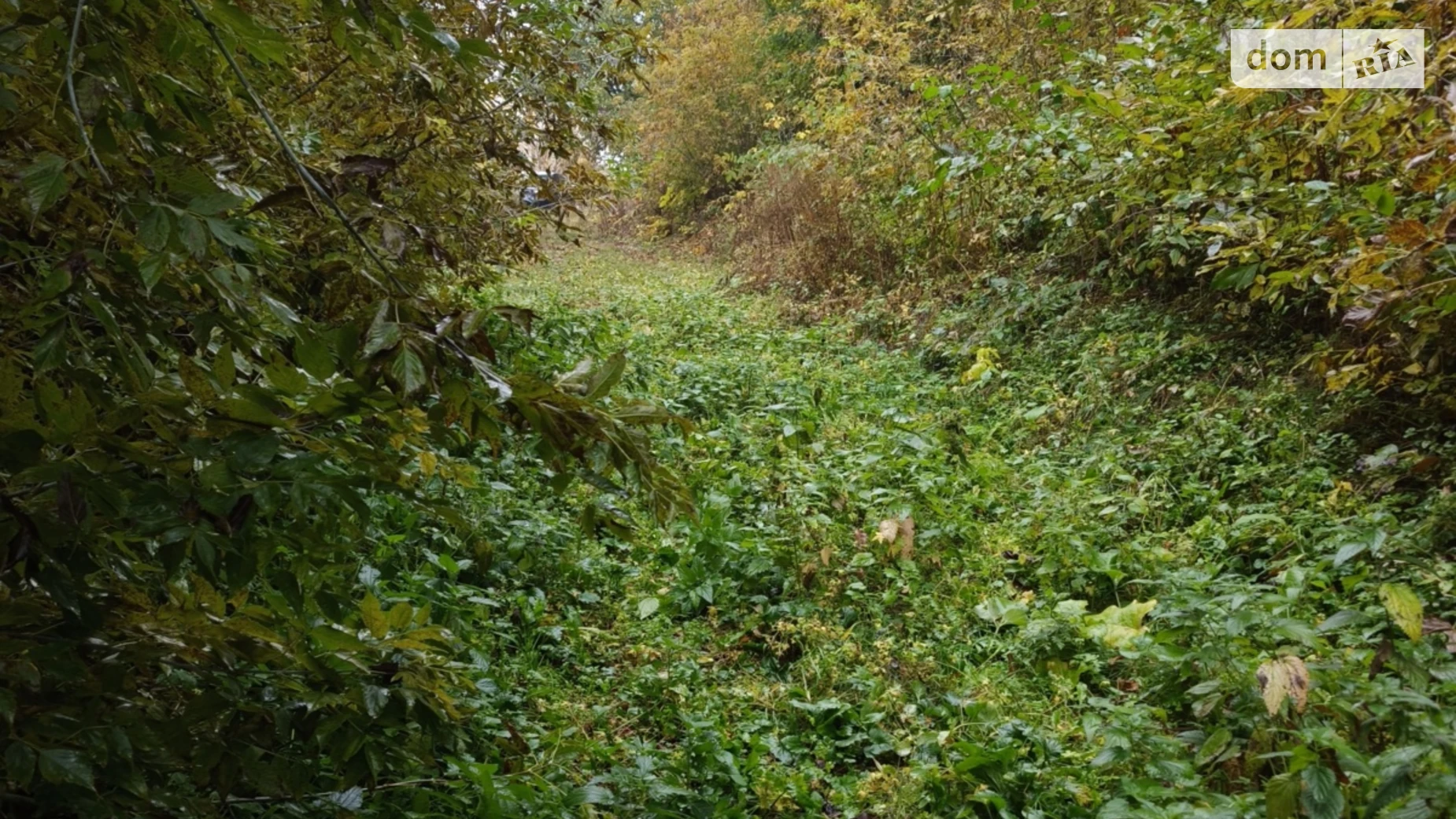 ул. Лесная Макеевка, цена: 50000 € - фото 4