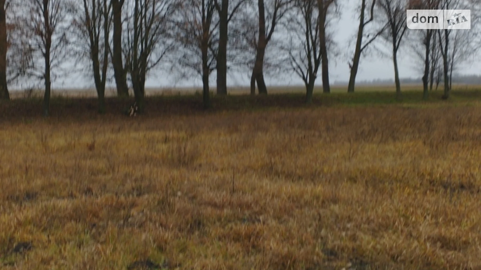 Молодіжна Семаки (Хмельник), цена: 7000 $ - фото 5