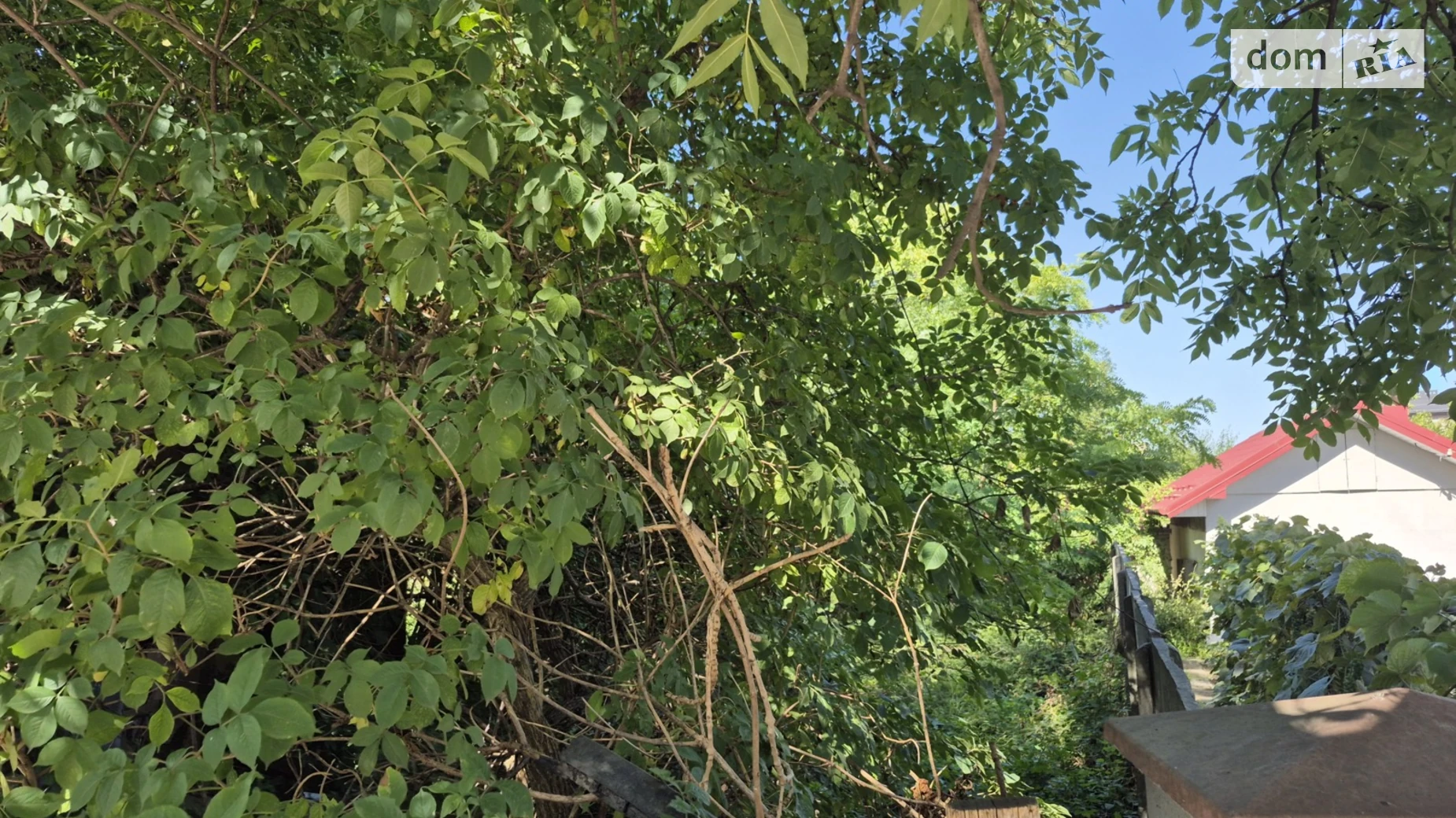 Продається земельна ділянка 6.05 соток у Івано-Франківській області, цена: 150000 $ - фото 4