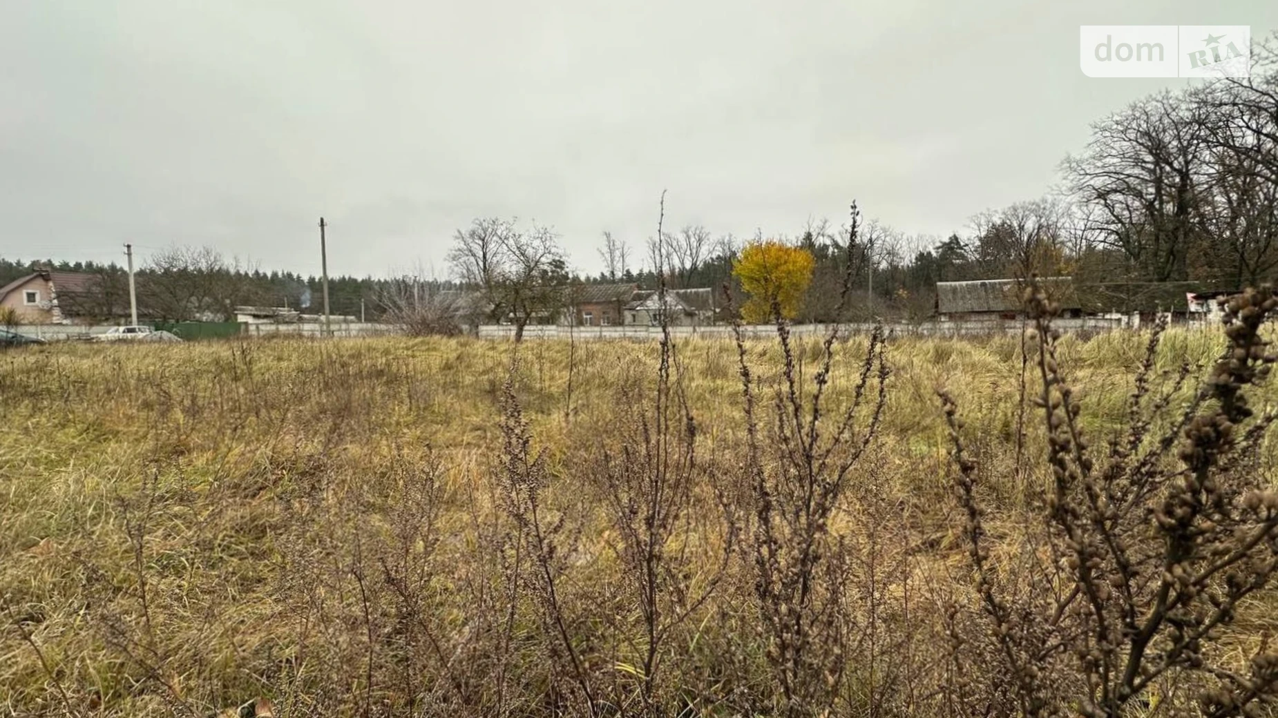 Продается земельный участок 10.55 соток в Житомирской области, цена: 8000 $ - фото 3