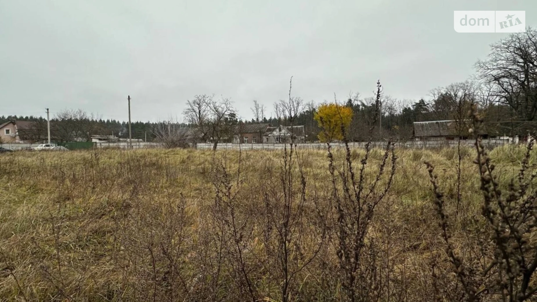 Продается земельный участок 10.55 соток в Житомирской области, цена: 8000 $ - фото 4