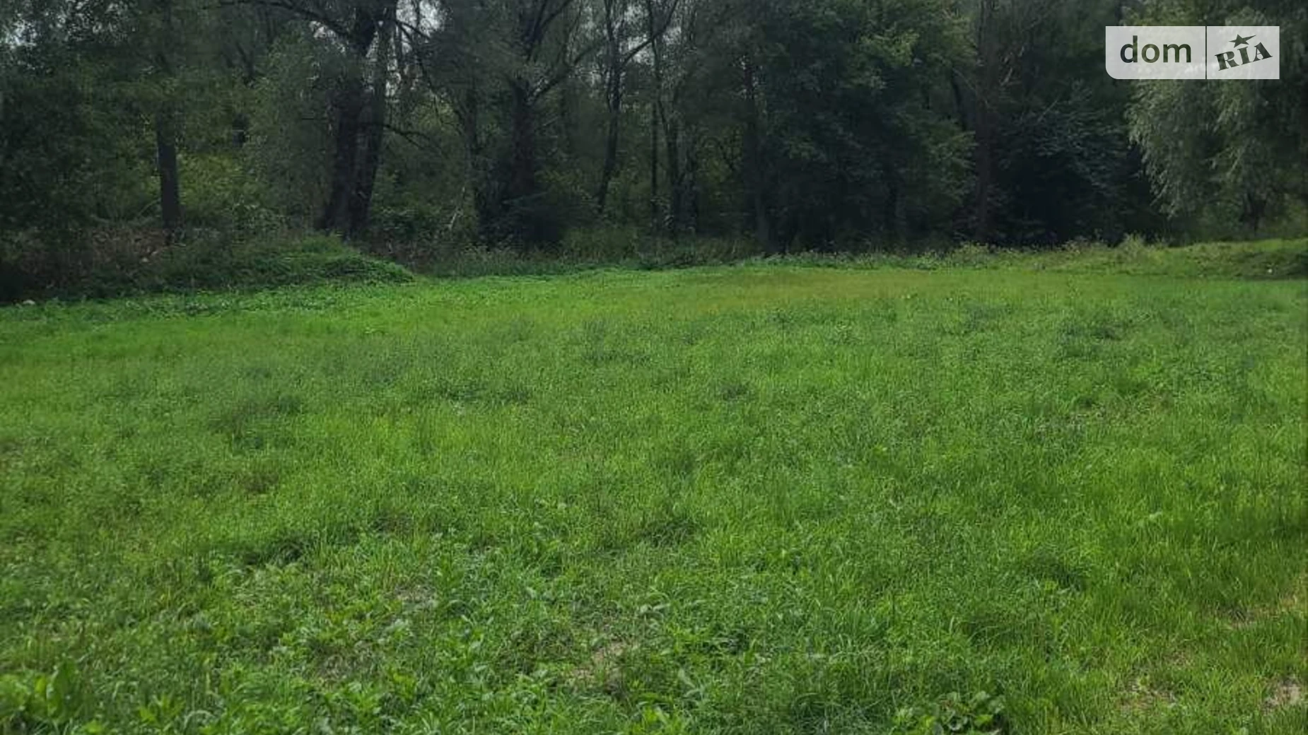 Здається в оренду земельна ділянка 0.25 соток у Черкаській області, цена: 2559 грн - фото 2