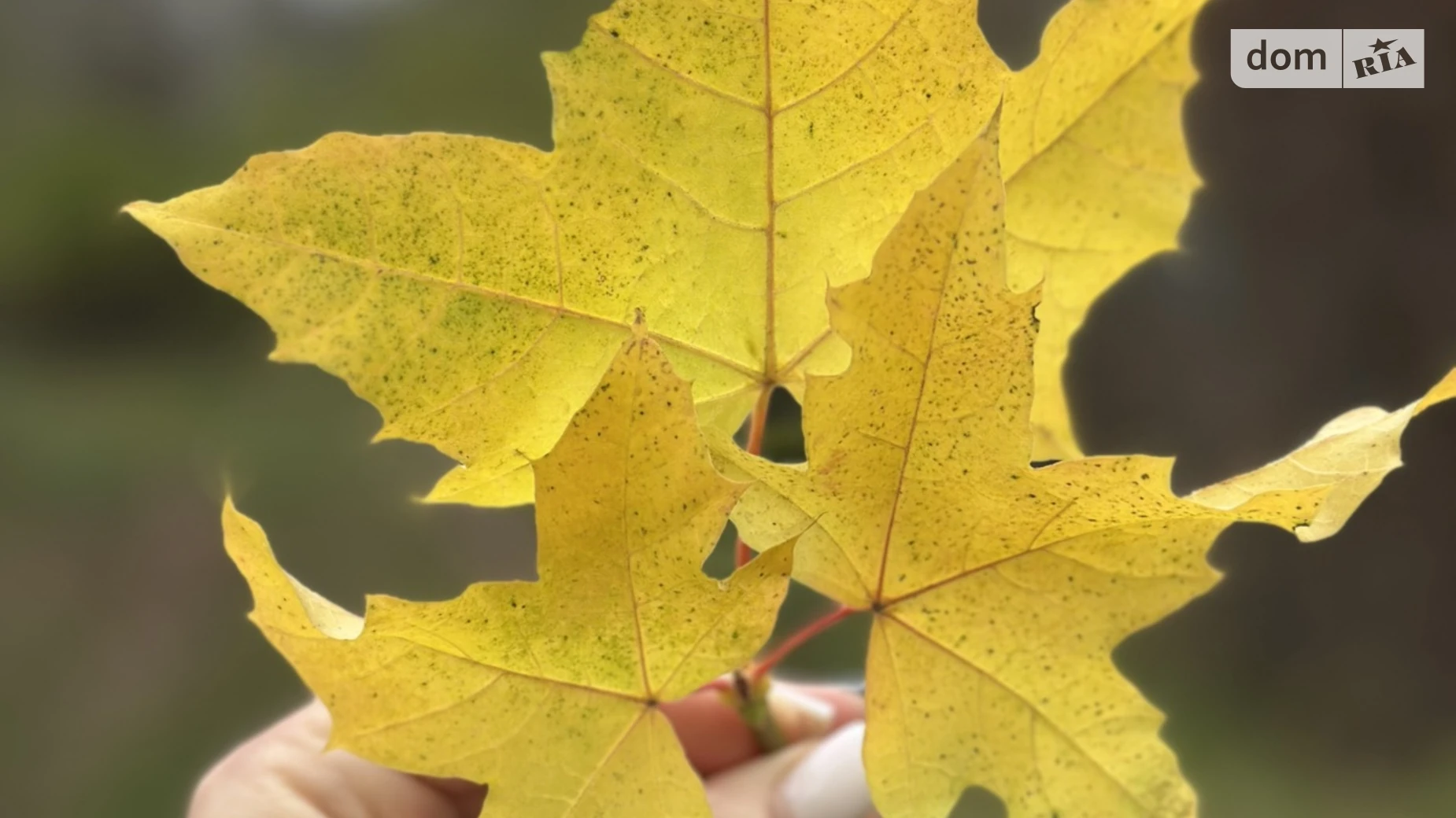 пер. Серебряный Винница, цена: 61500 $ - фото 5