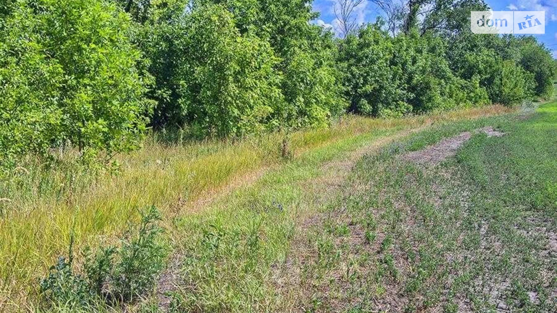 Продається земельна ділянка 8 соток у Вінницькій області, цена: 16500 $ - фото 5