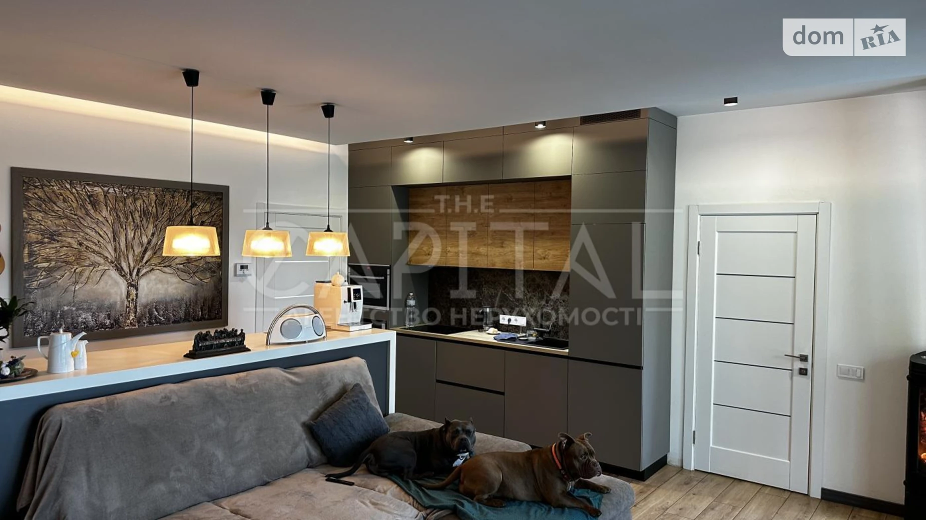 вул. Лісового Василя(Пушкіна), 38 Тарасівка (Обухів), цена: 6000 $ - фото 5