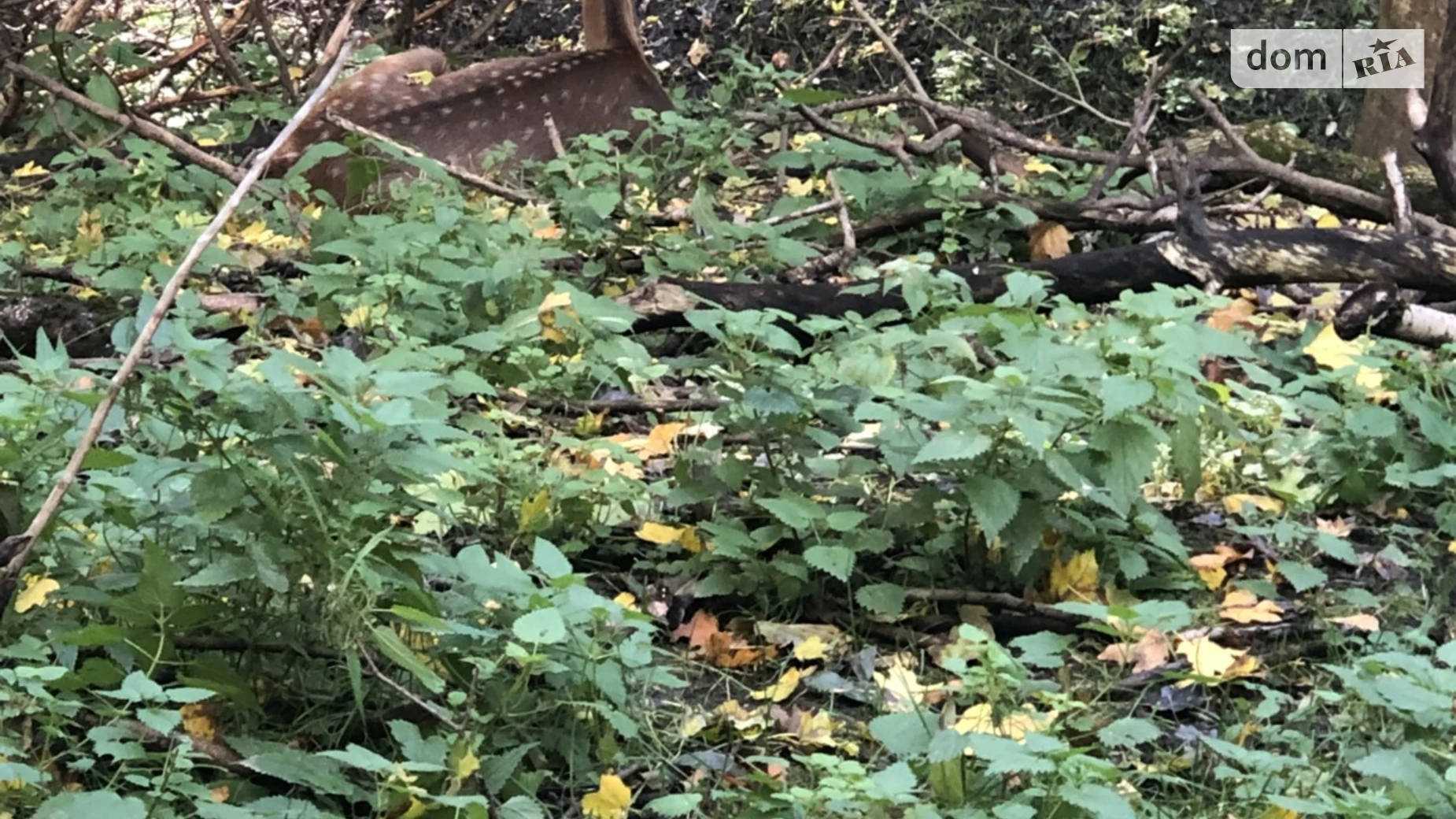Продается земельный участок 18 соток в Винницкой области, цена: 5000 $ - фото 2