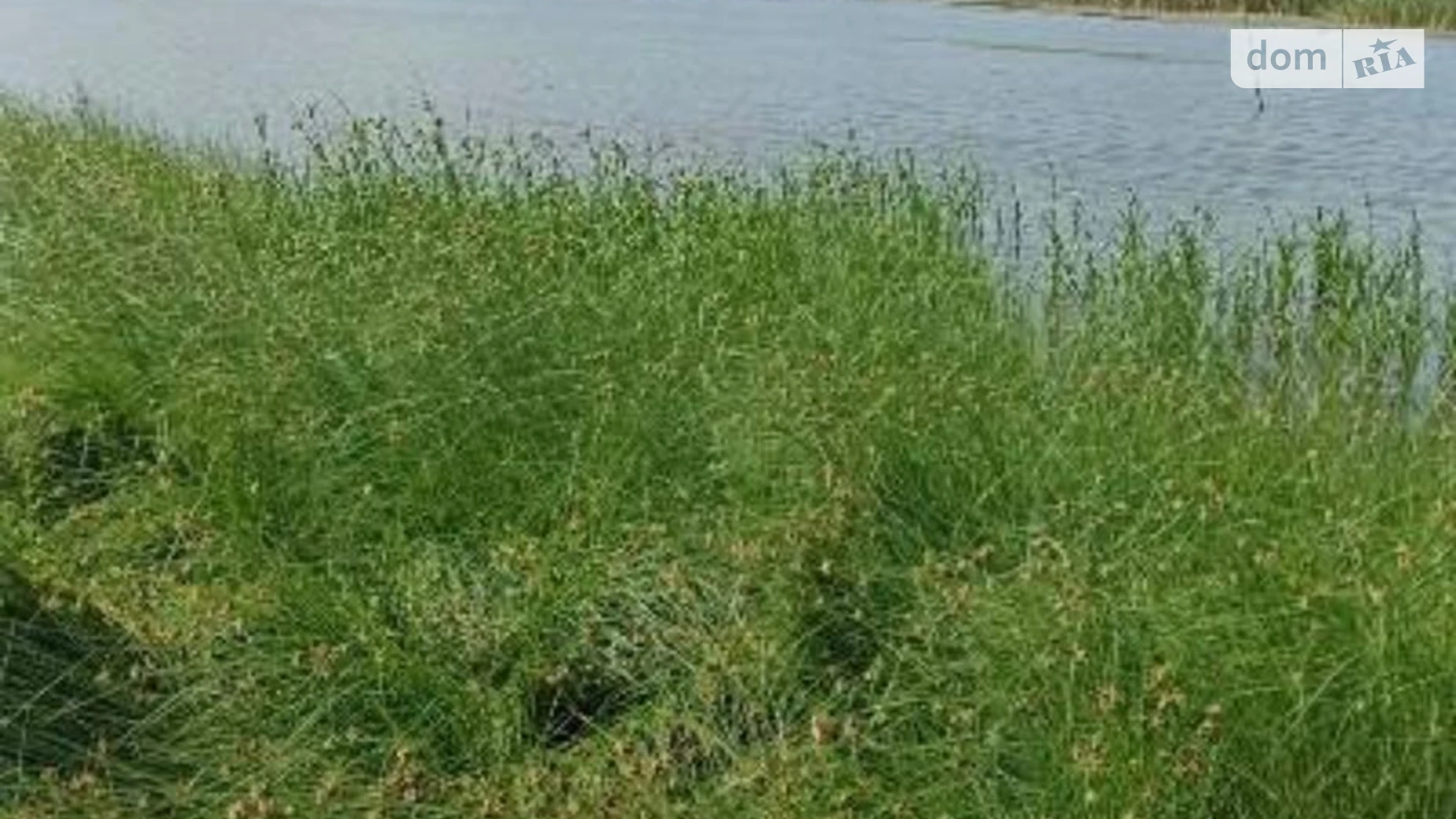 Здається в оренду земельна ділянка 4.6683 соток у Чернівецькій області, цена: 15867 грн - фото 2