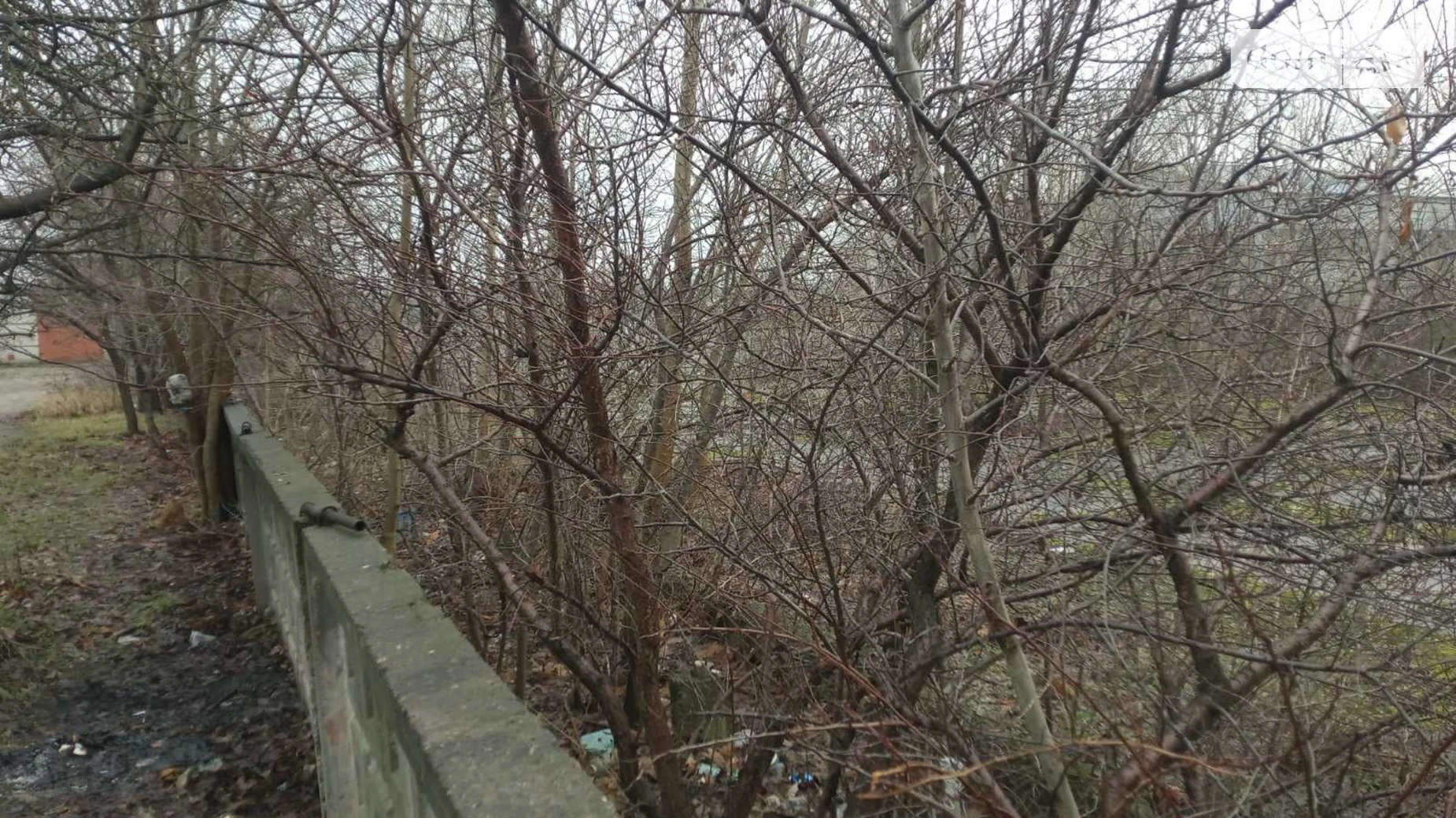 Сдается в аренду земельный участок 0.346 соток в Кировоградской области, цена: 36954 грн - фото 3