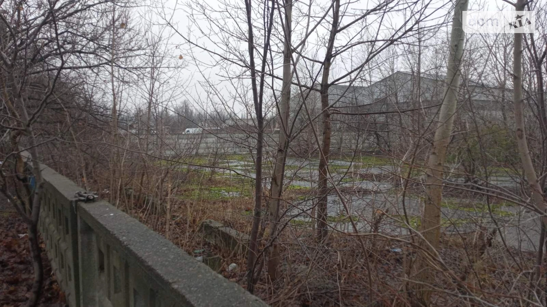 Сдается в аренду земельный участок 0.346 соток в Кировоградской области, цена: 36954 грн - фото 4