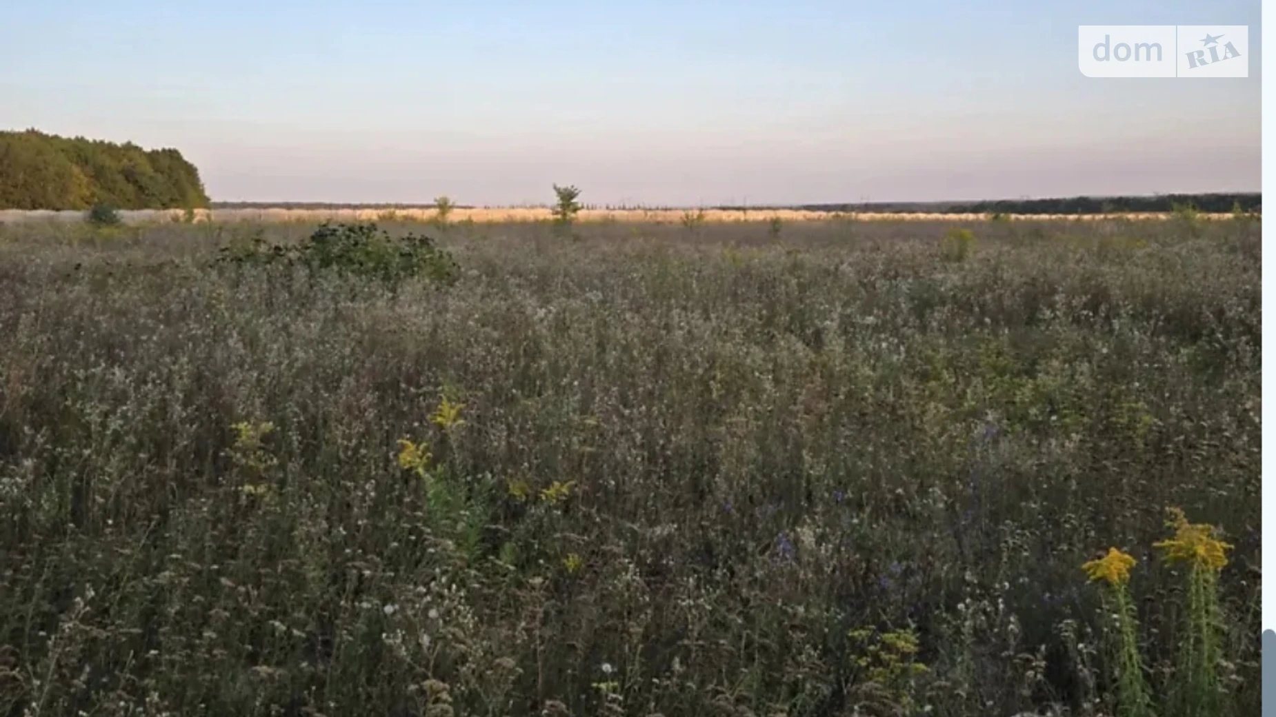 Юзвин, цена: 1000000 $ - фото 3