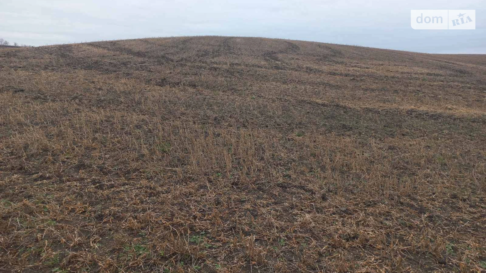 Здається в оренду земельна ділянка 1.35 соток у Хмельницькій області, цена: 5071 грн - фото 3