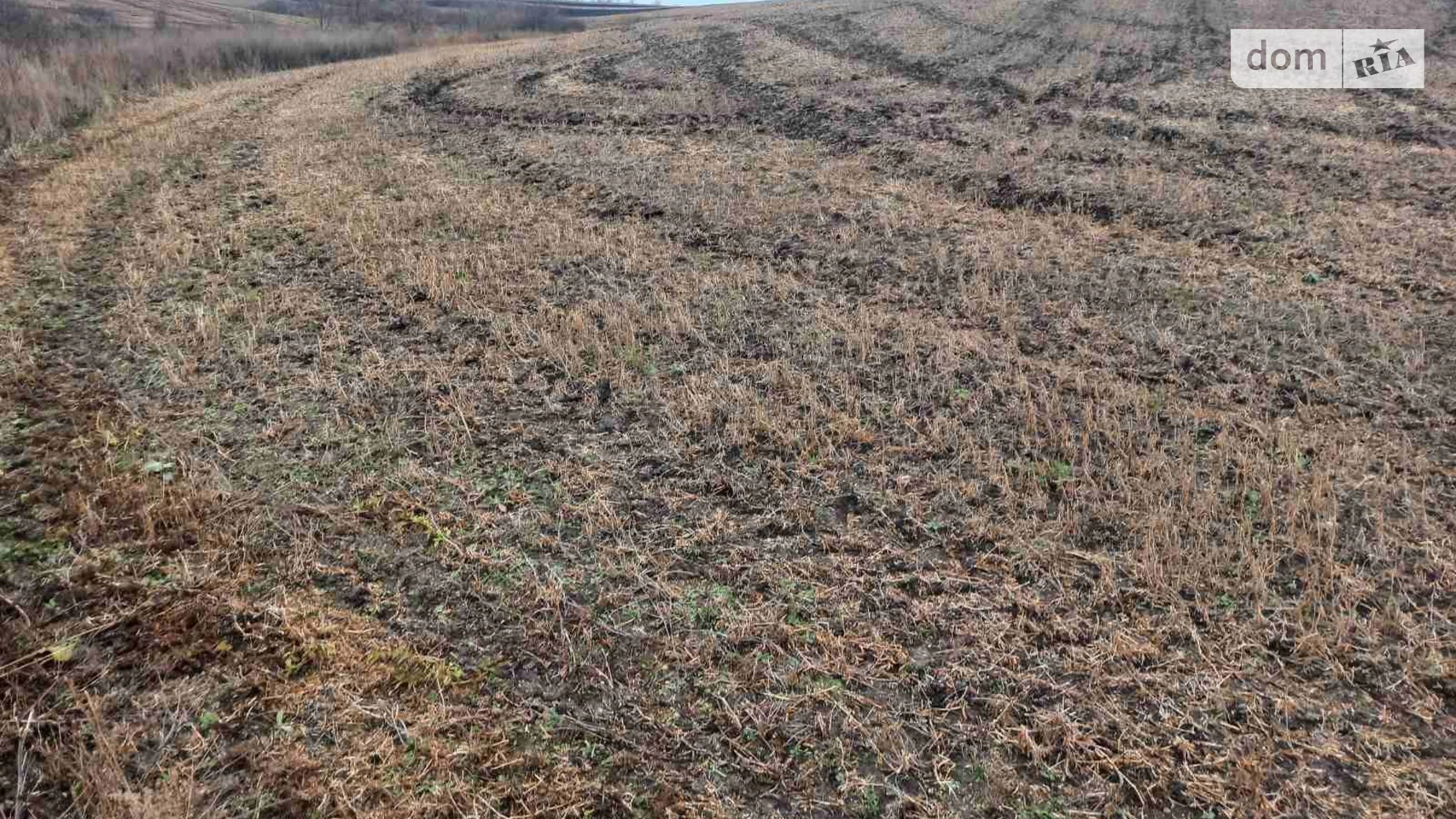 Здається в оренду земельна ділянка 1.35 соток у Хмельницькій області, цена: 5071 грн - фото 4