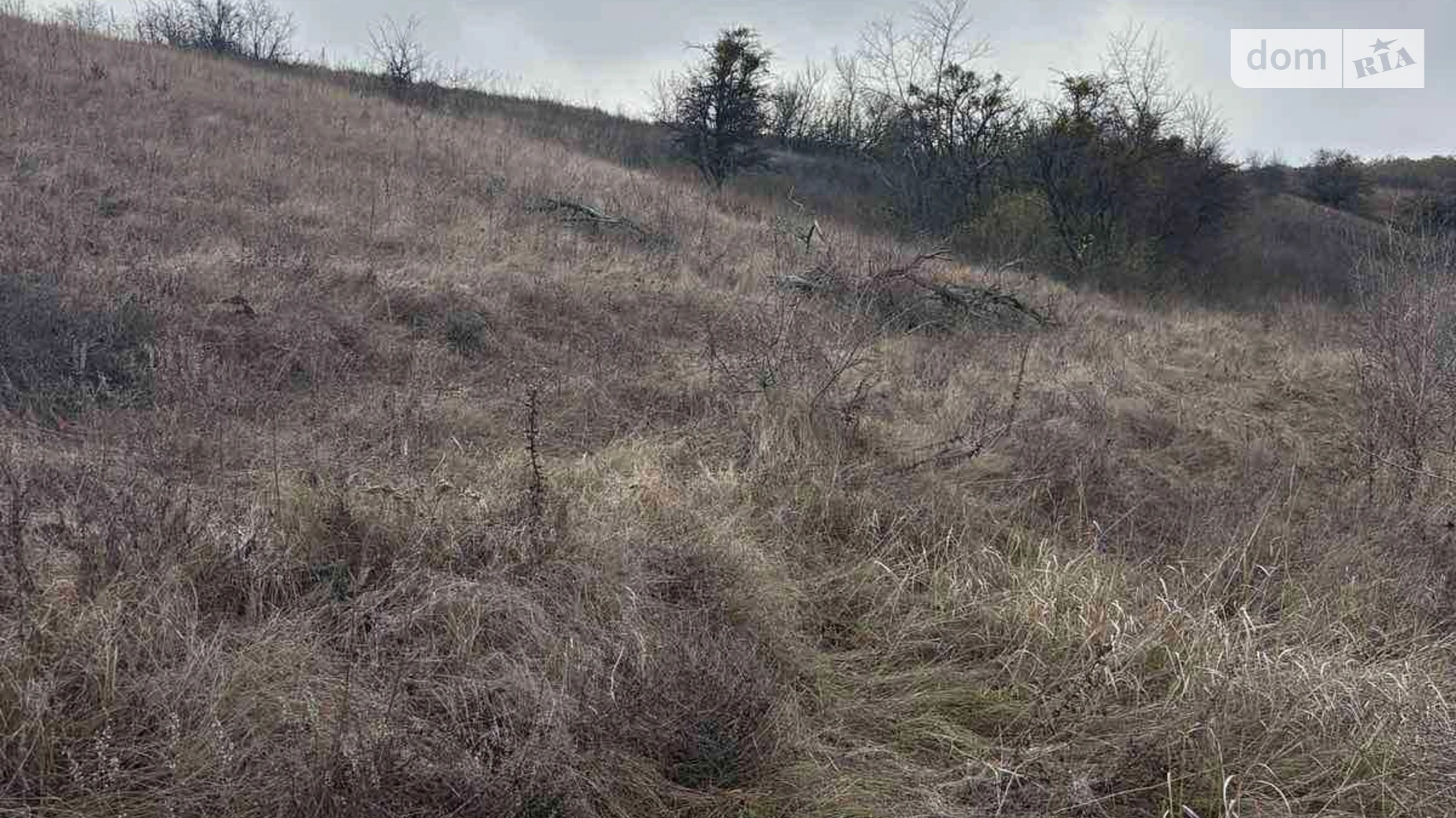 Здається в оренду земельна ділянка 6.53 соток у Черкаській області, цена: 19675 грн - фото 2