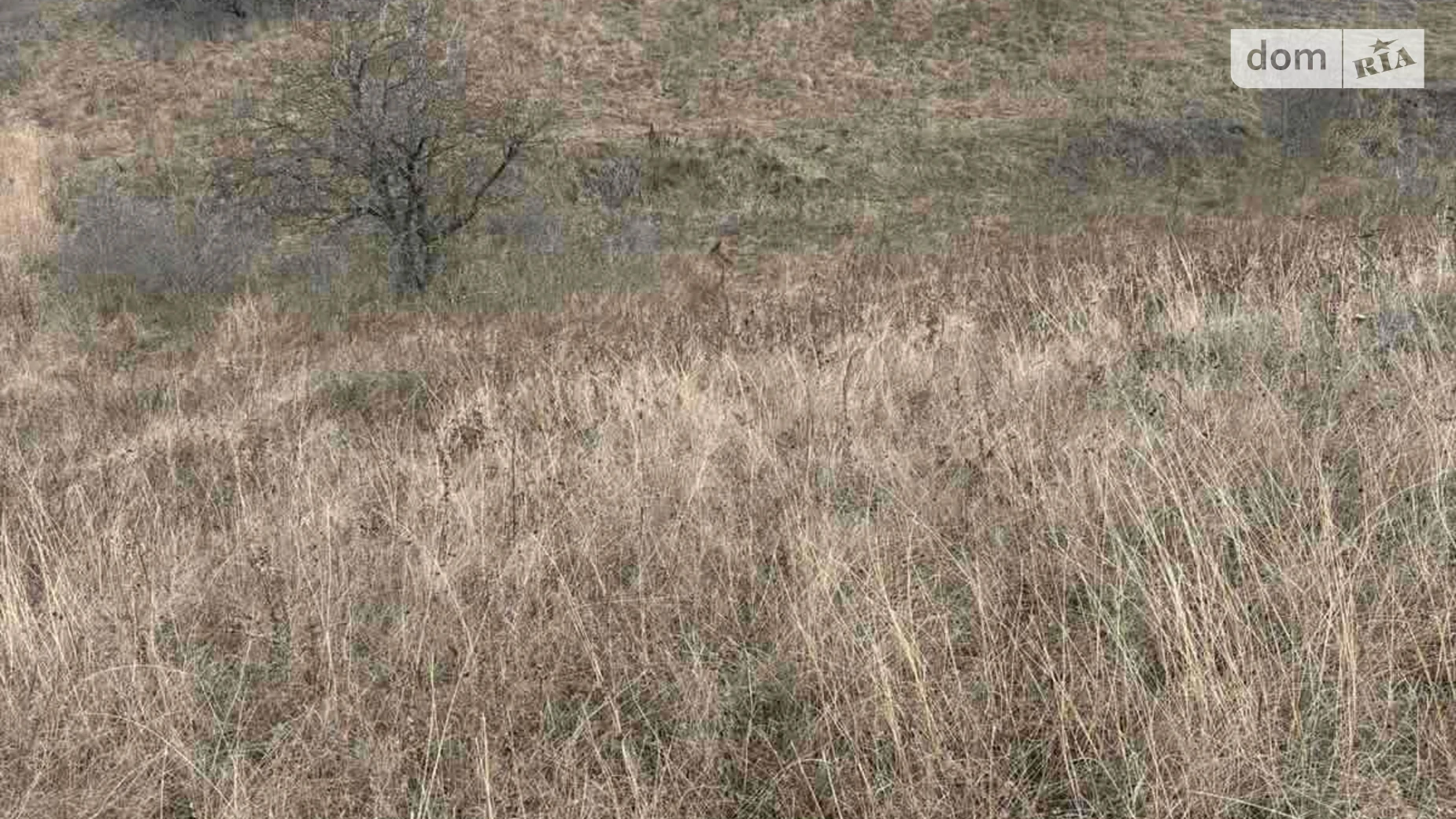 Здається в оренду земельна ділянка 6.53 соток у Черкаській області, цена: 19675 грн - фото 3